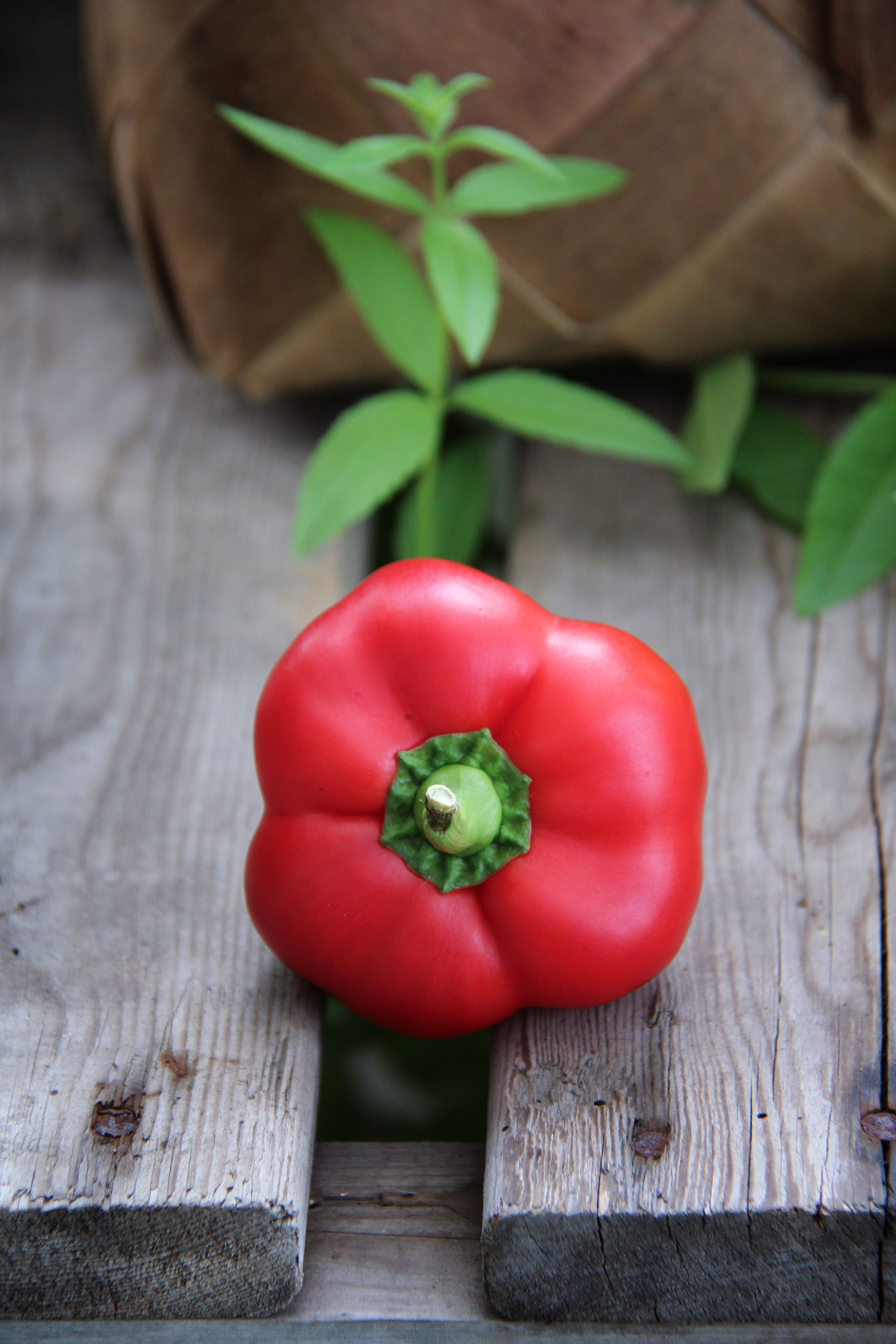Pottepeper 2