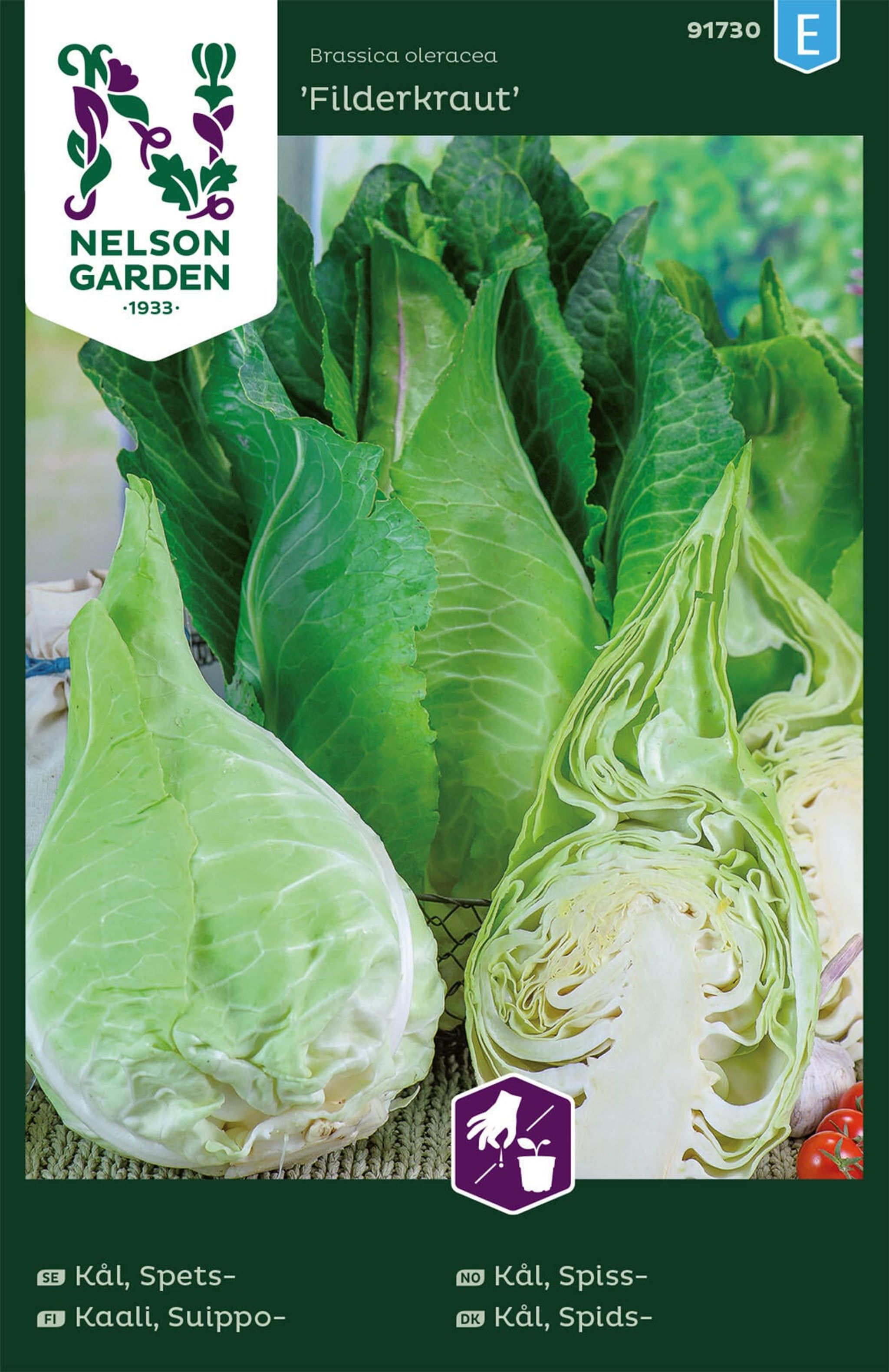 Spidskål