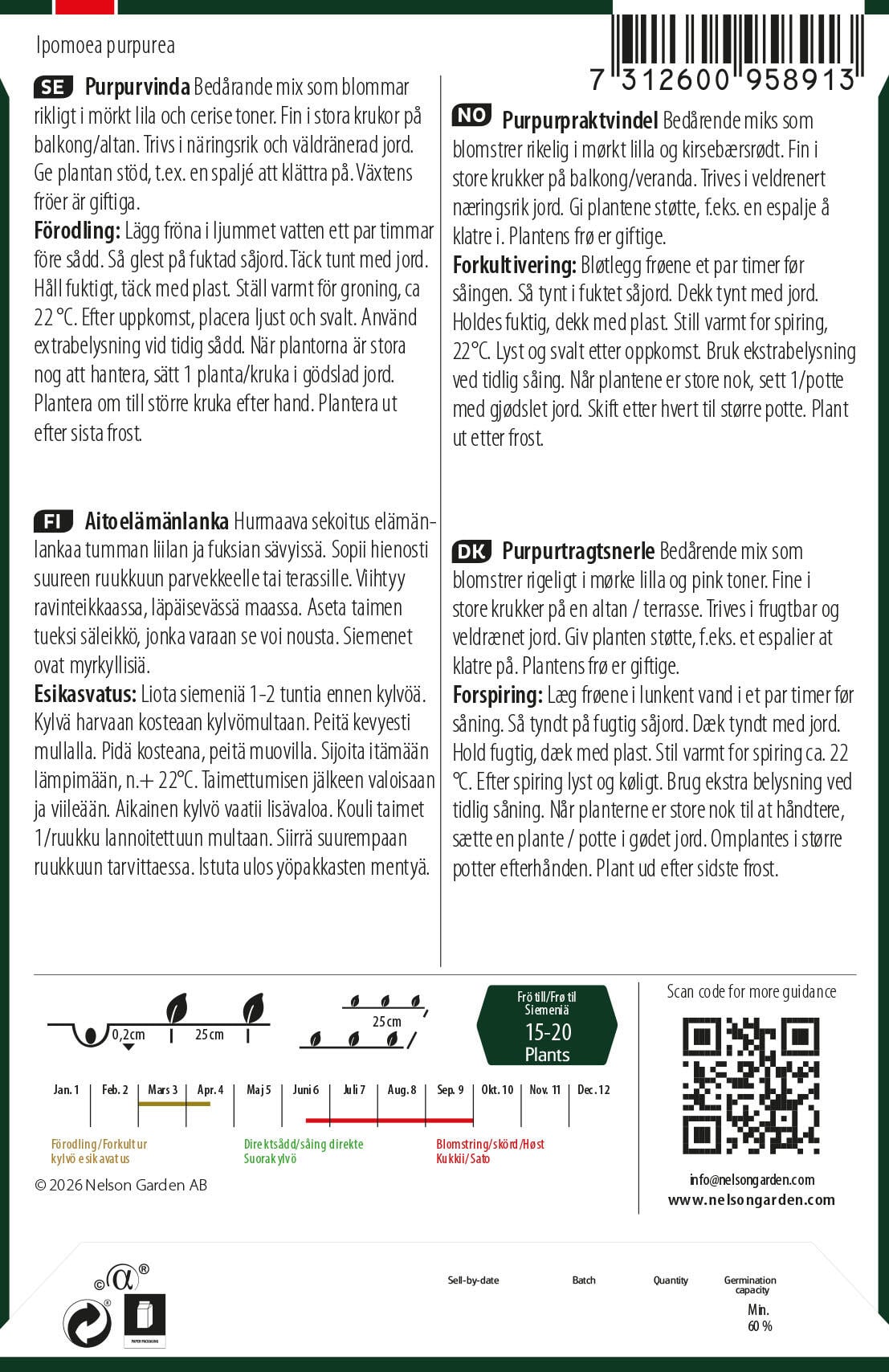 Purpurtragtsnerle 2