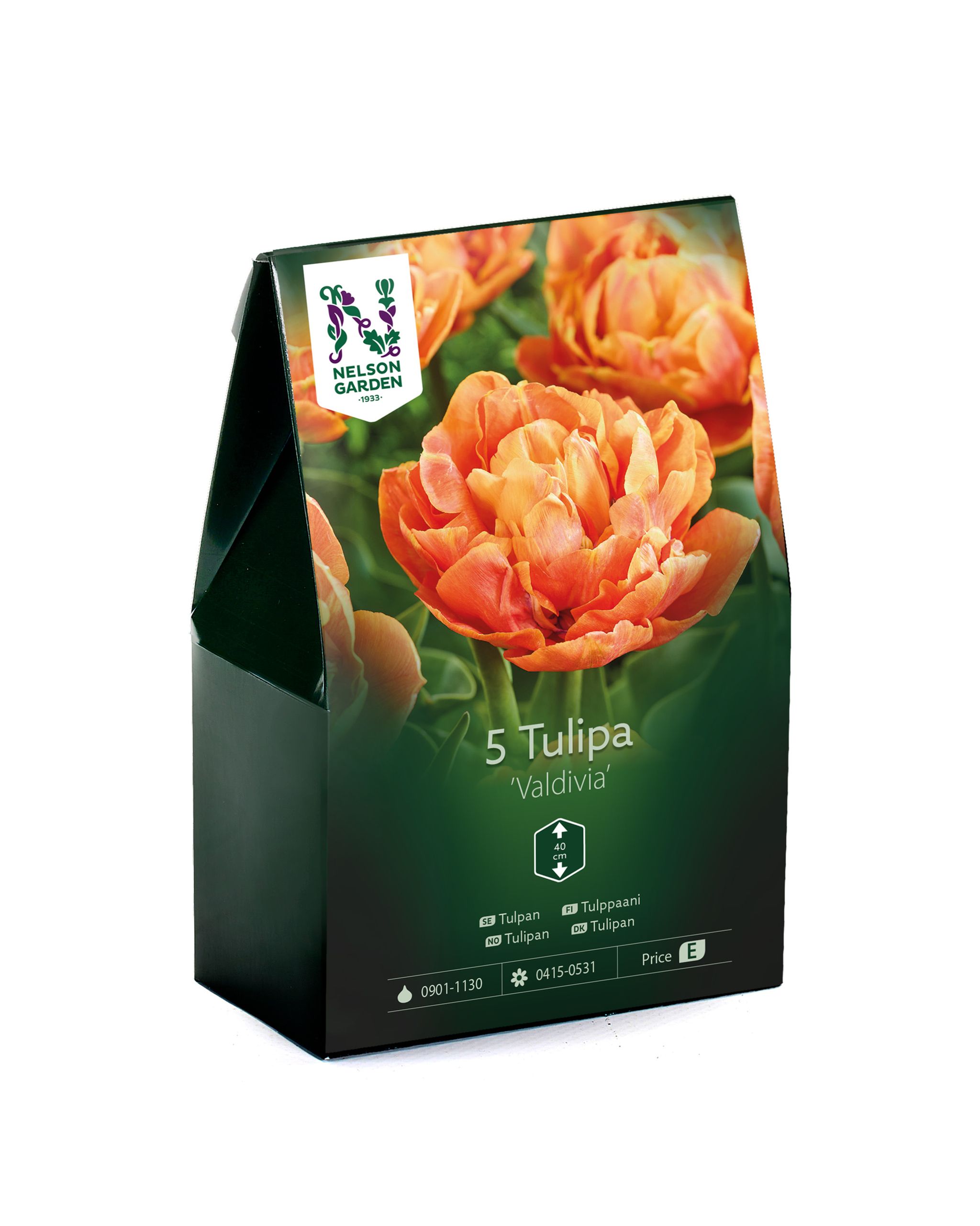 Tulppaani, myöhäinen, aikainen