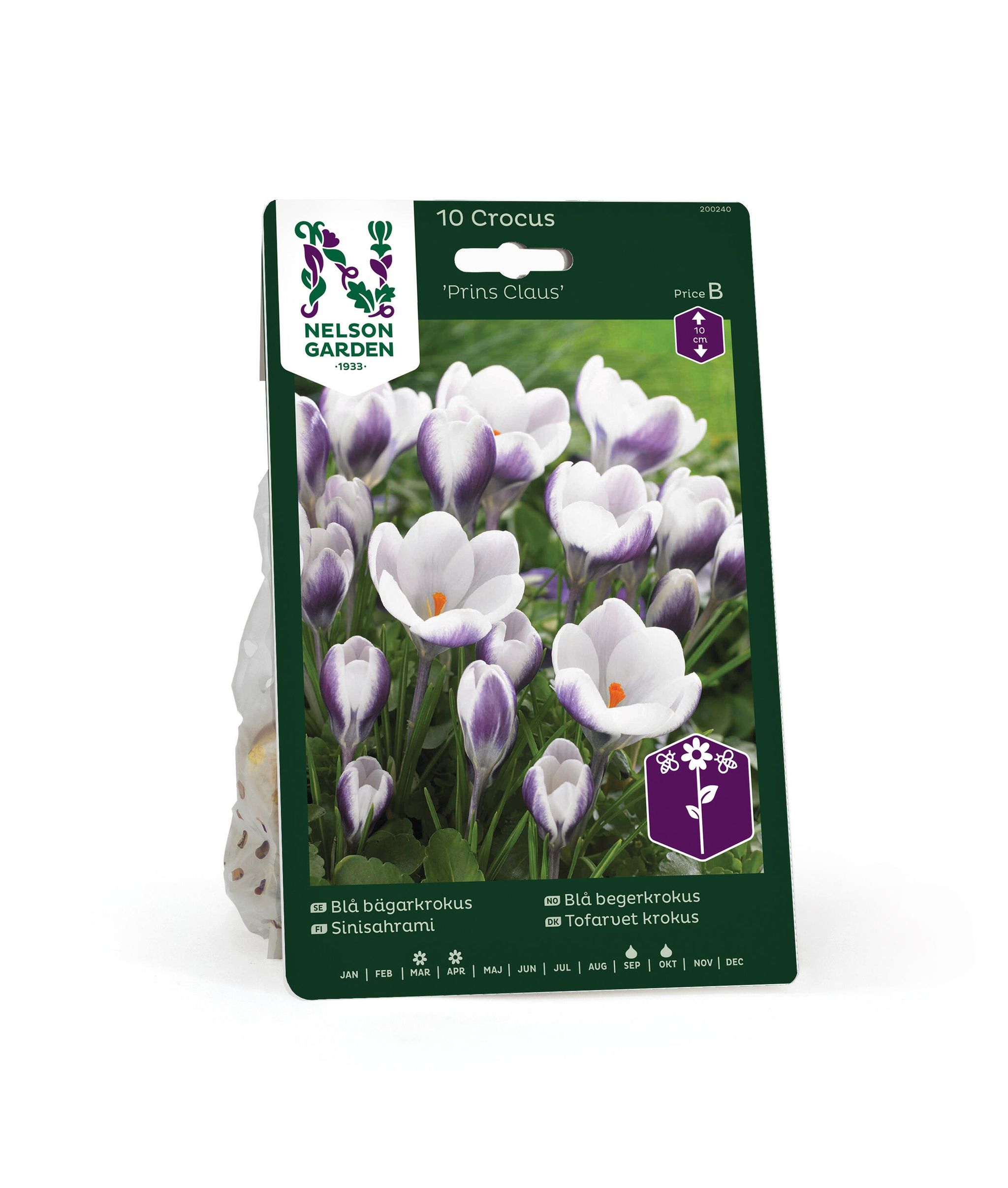 Blå bägarkrokus