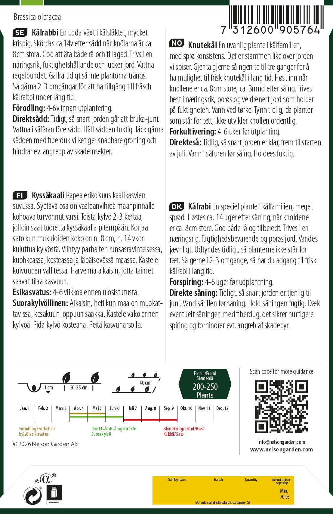 Kålrabi 2