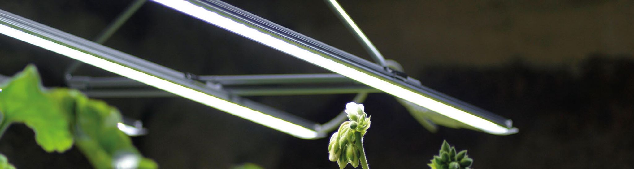 LED-ramp