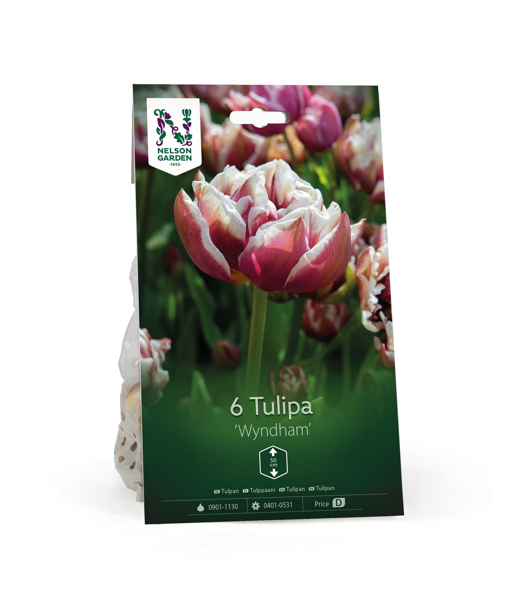 Tulppaani, myöhäinen, aikainen