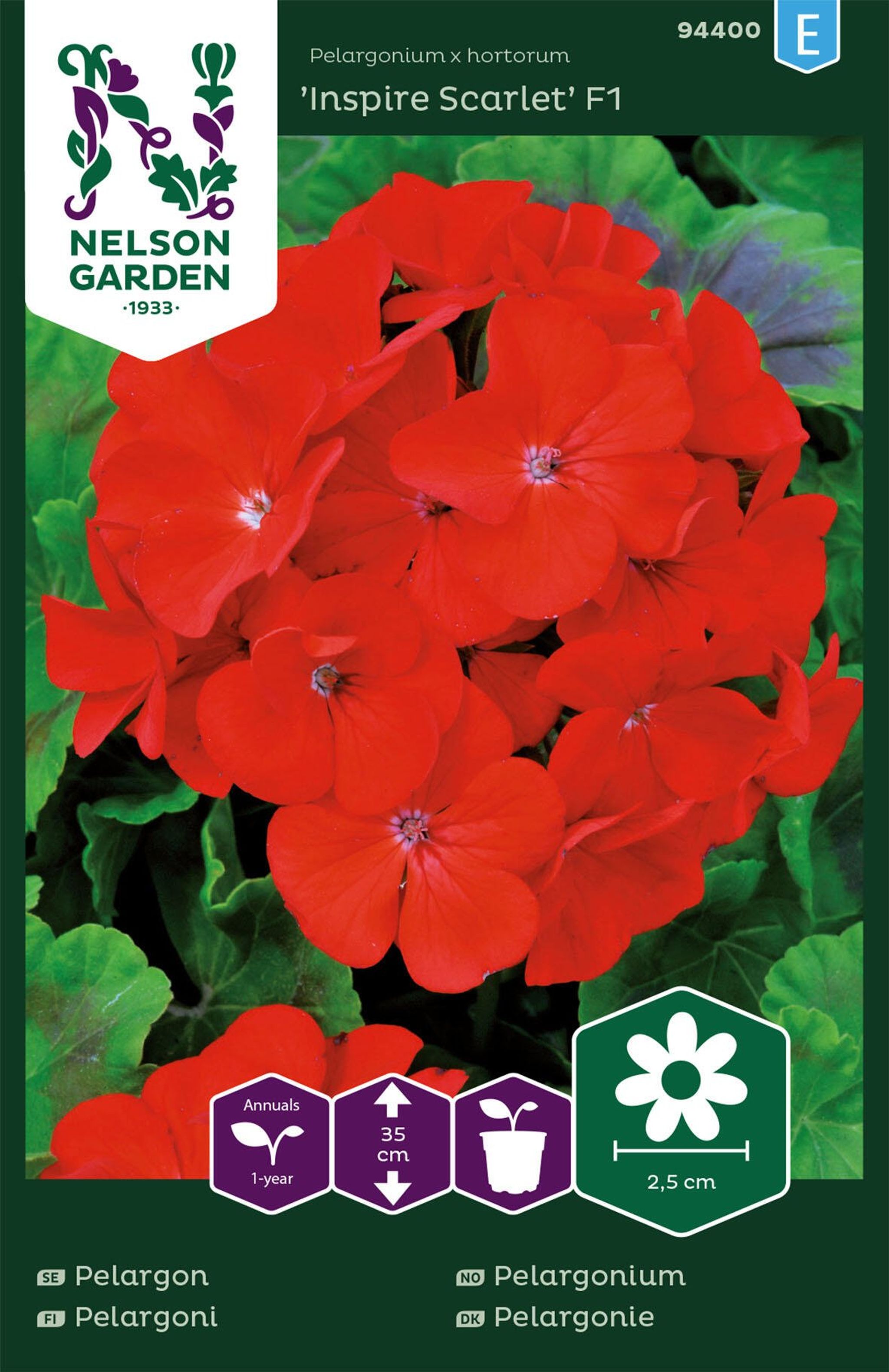 Pelargonie
