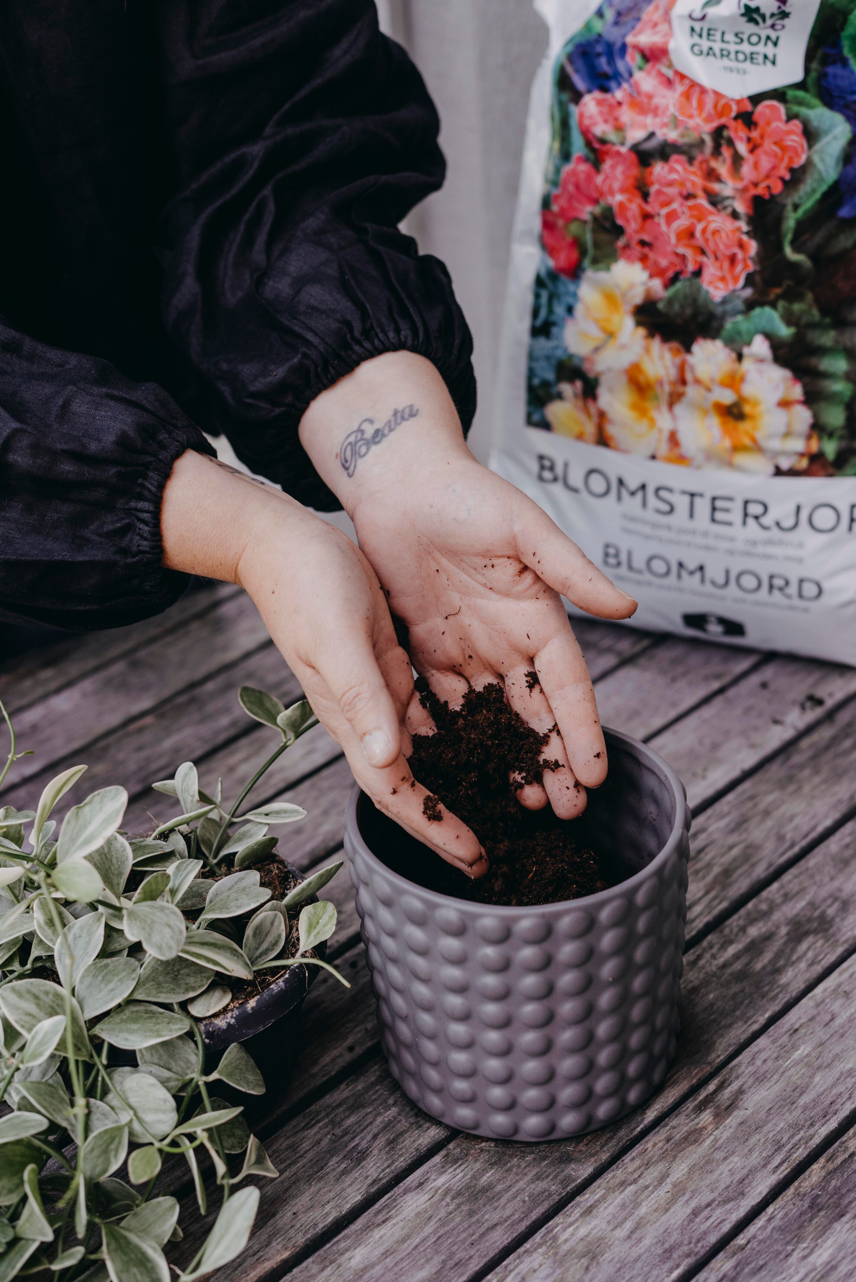 Blomsterjord 3