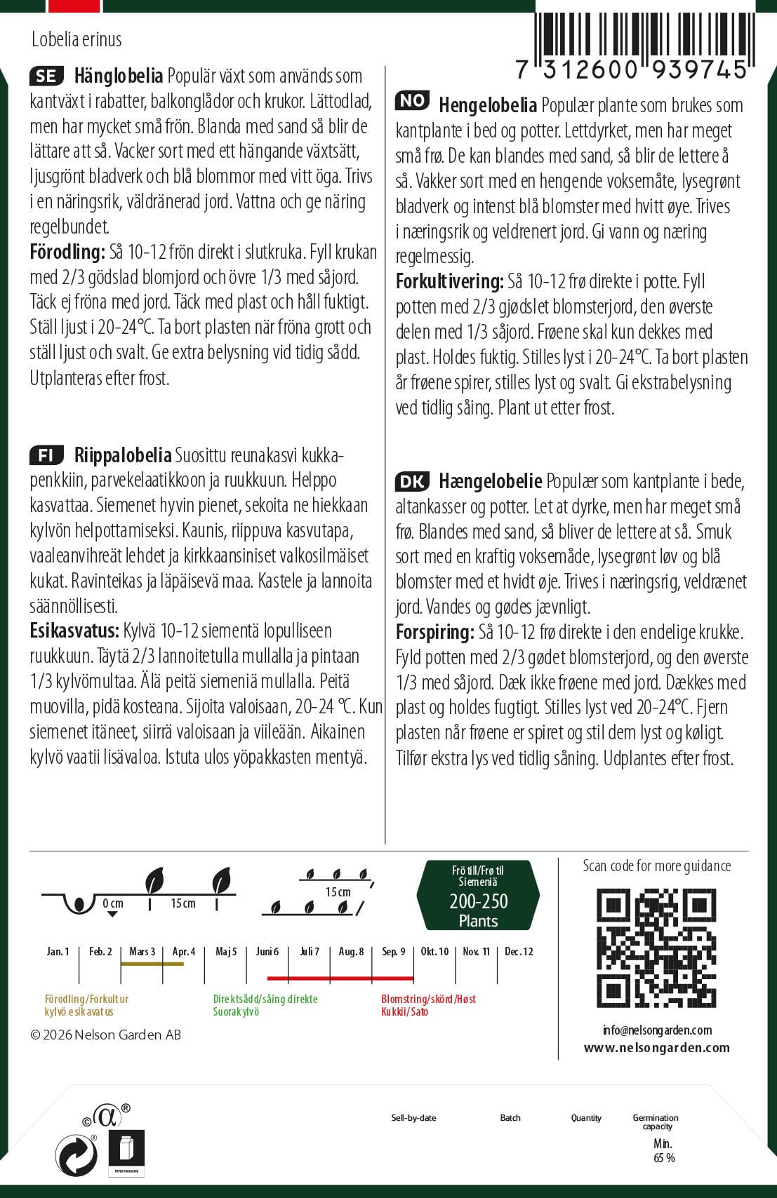 Hänglobelia 2