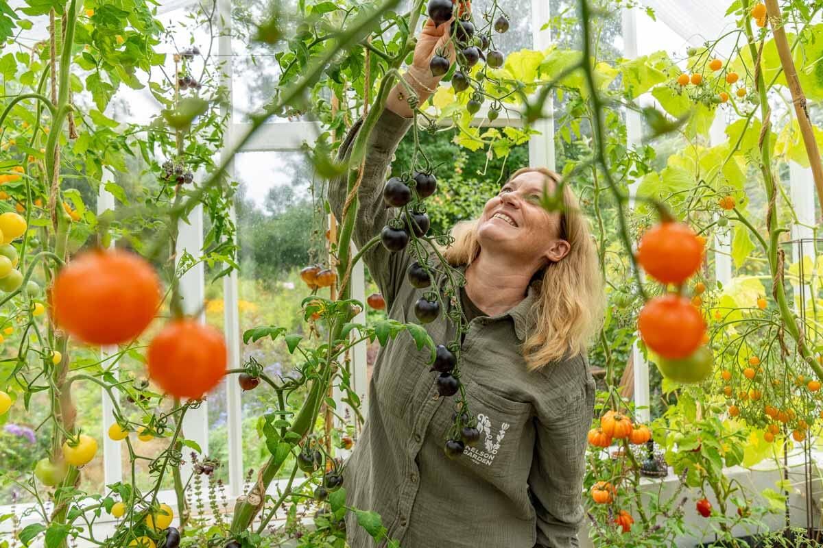 La deg inspirere av vårt store grønnsaksutvalg