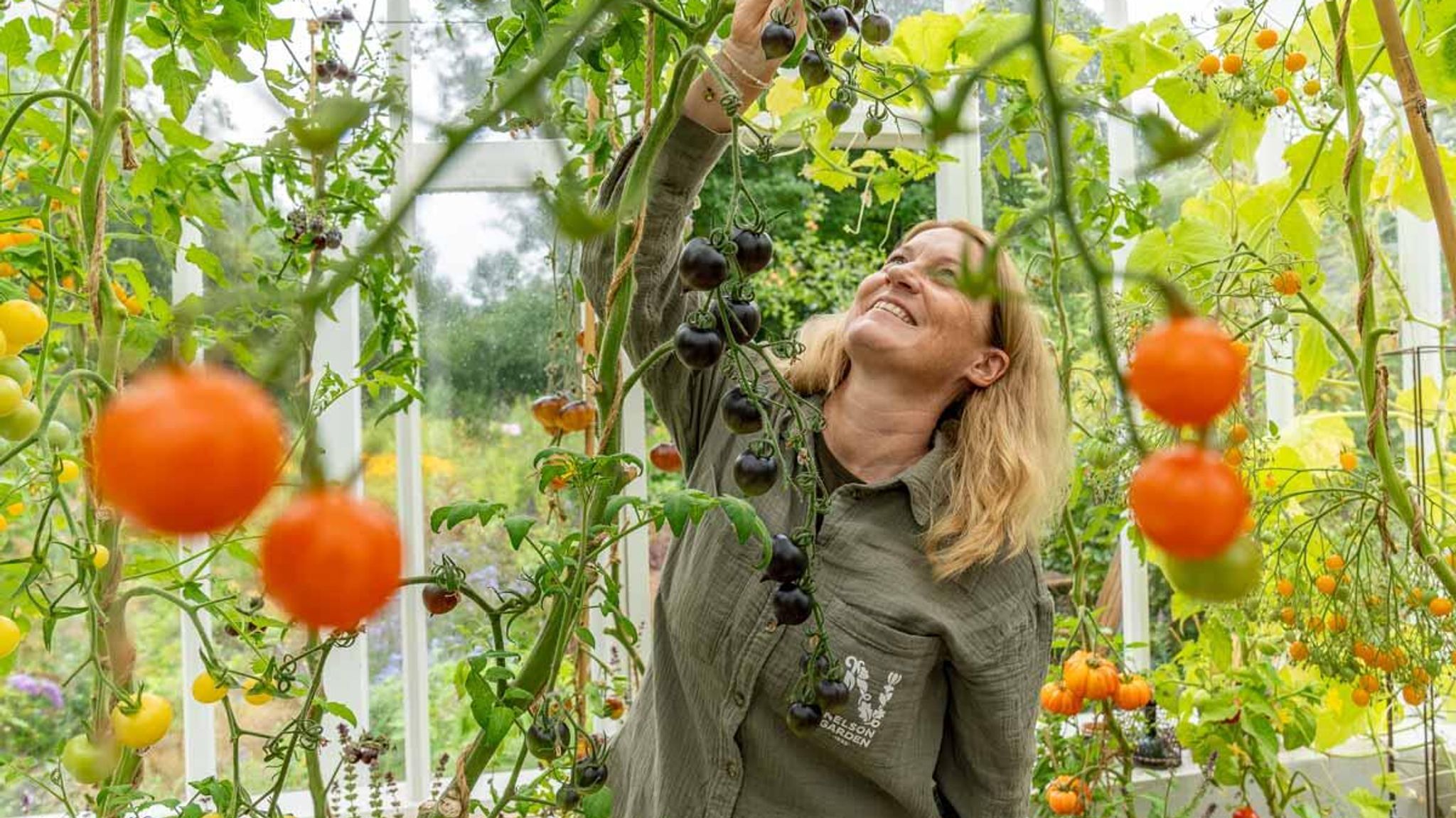 La deg inspirere av vårt store grønnsaksutvalg