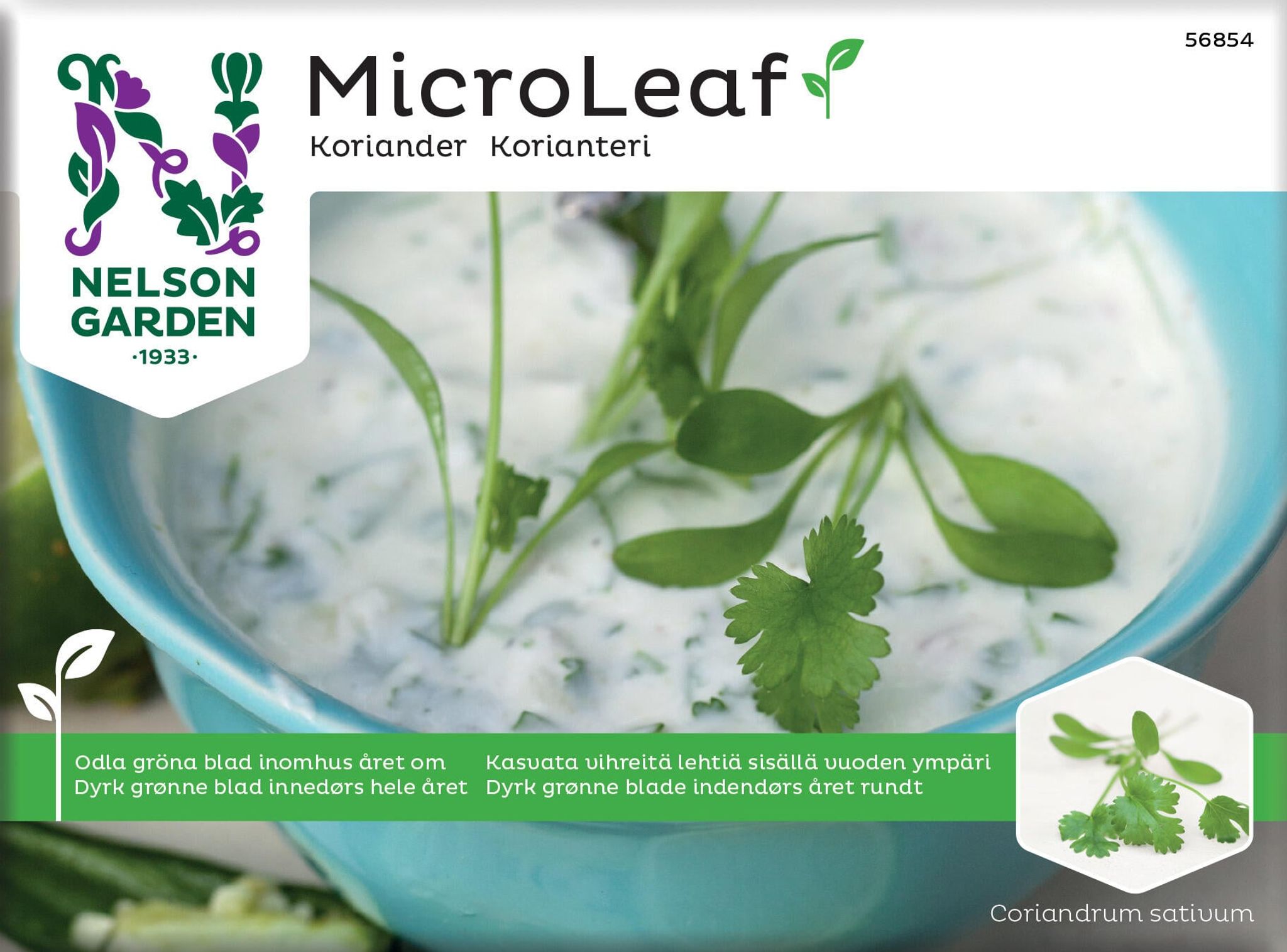 Micro Leaf, koriander