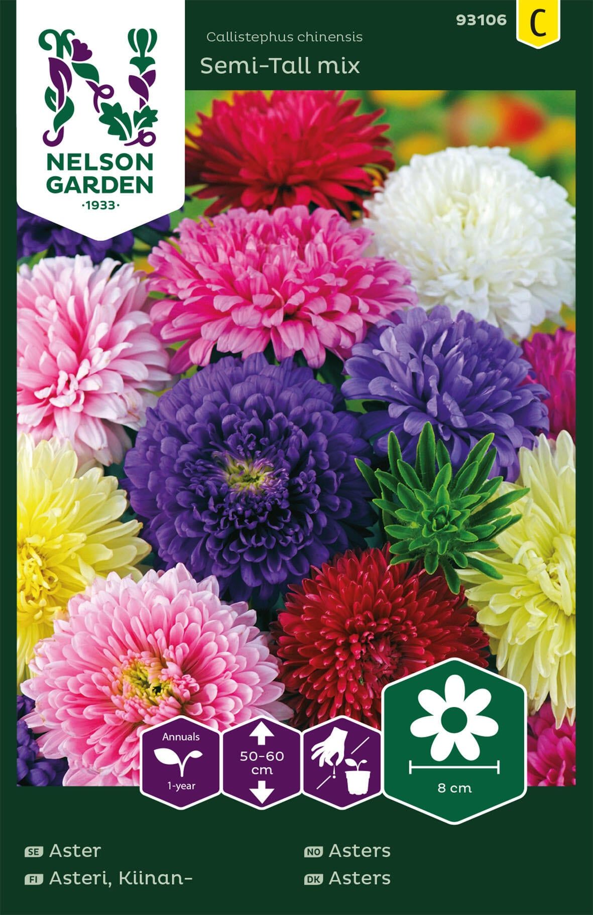 Asters 1