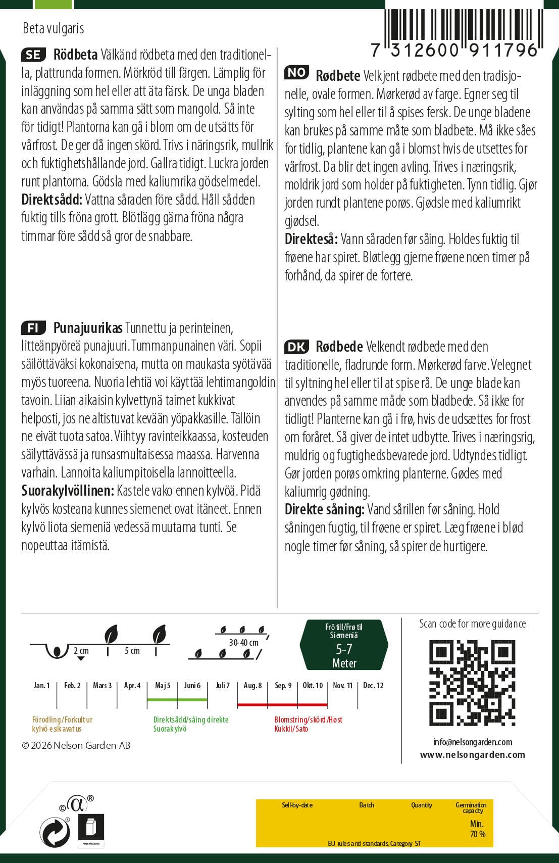 Rødbete 2
