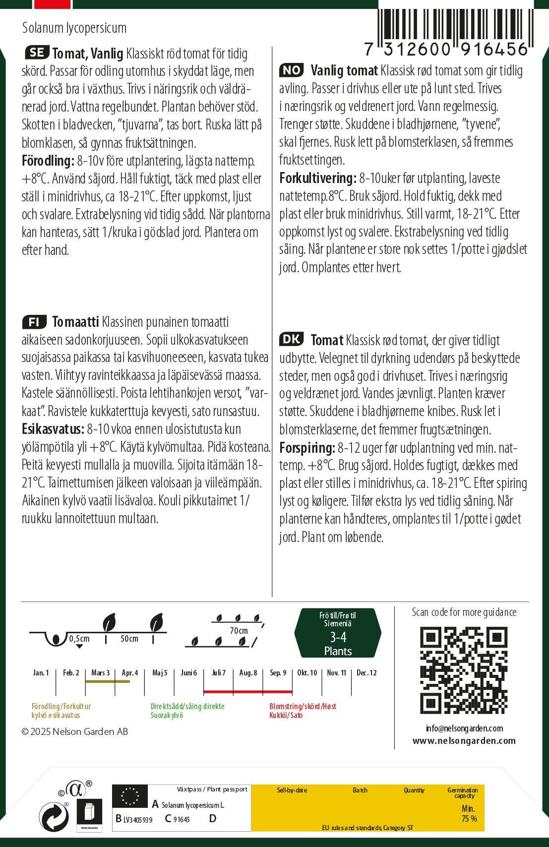Vanlig tomat 2