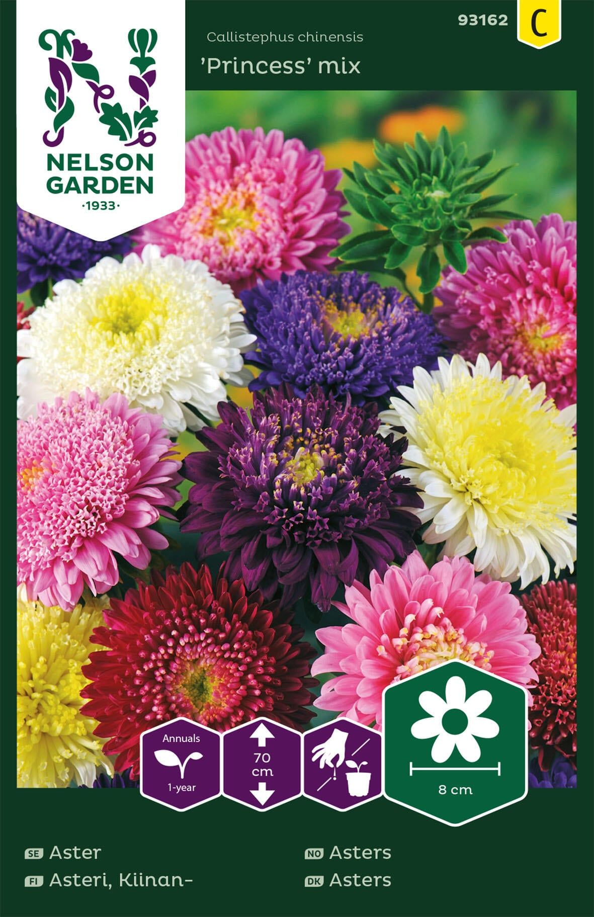 Asters 1