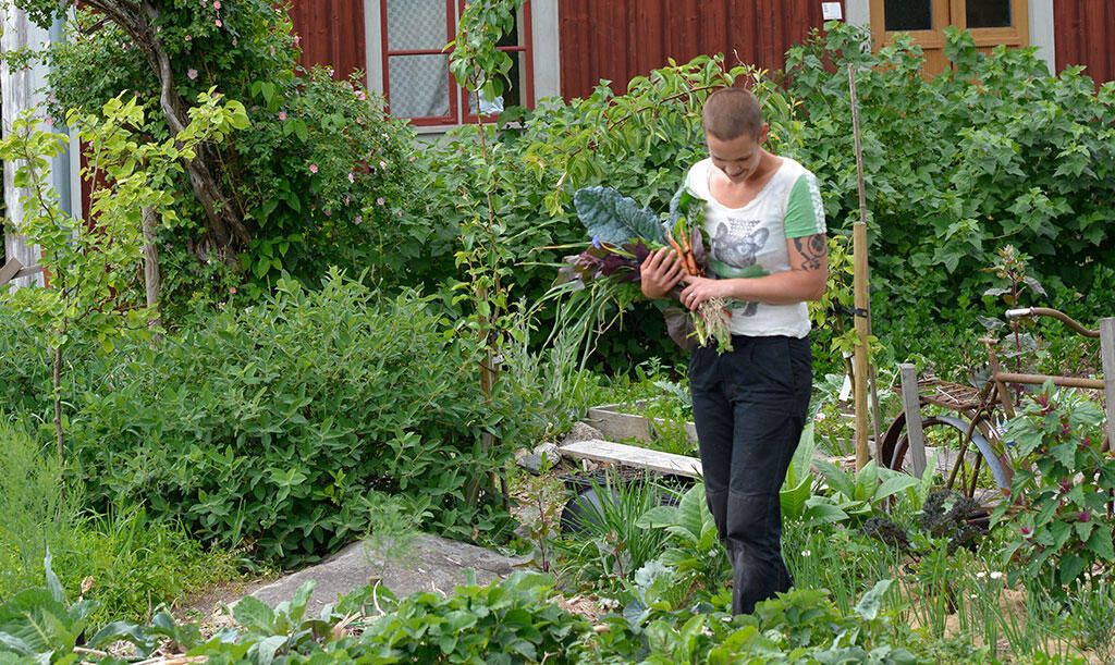 Sara Bäckmo sår och skördar året runt