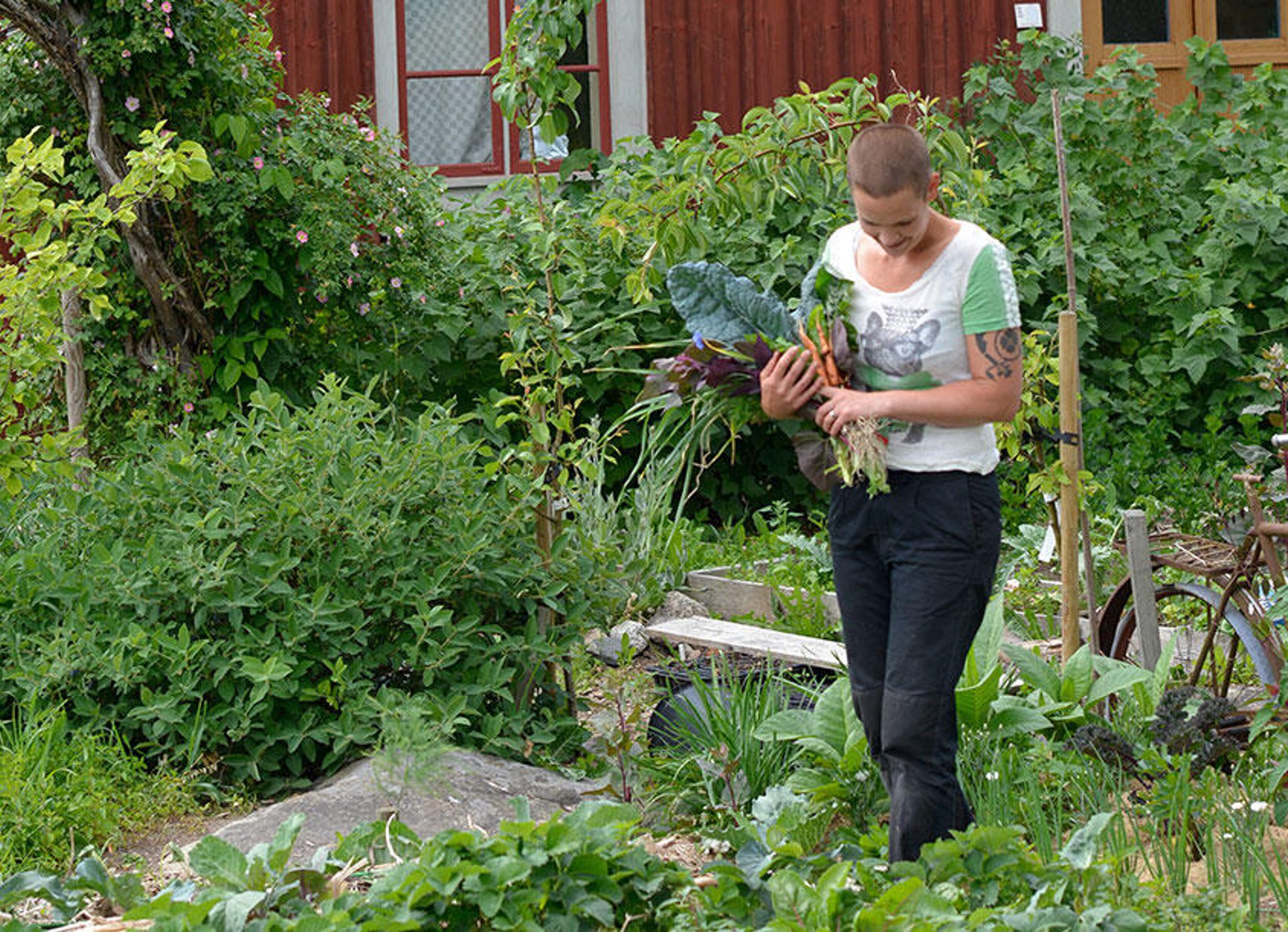 Sara Bäckmo sår och skördar året runt
