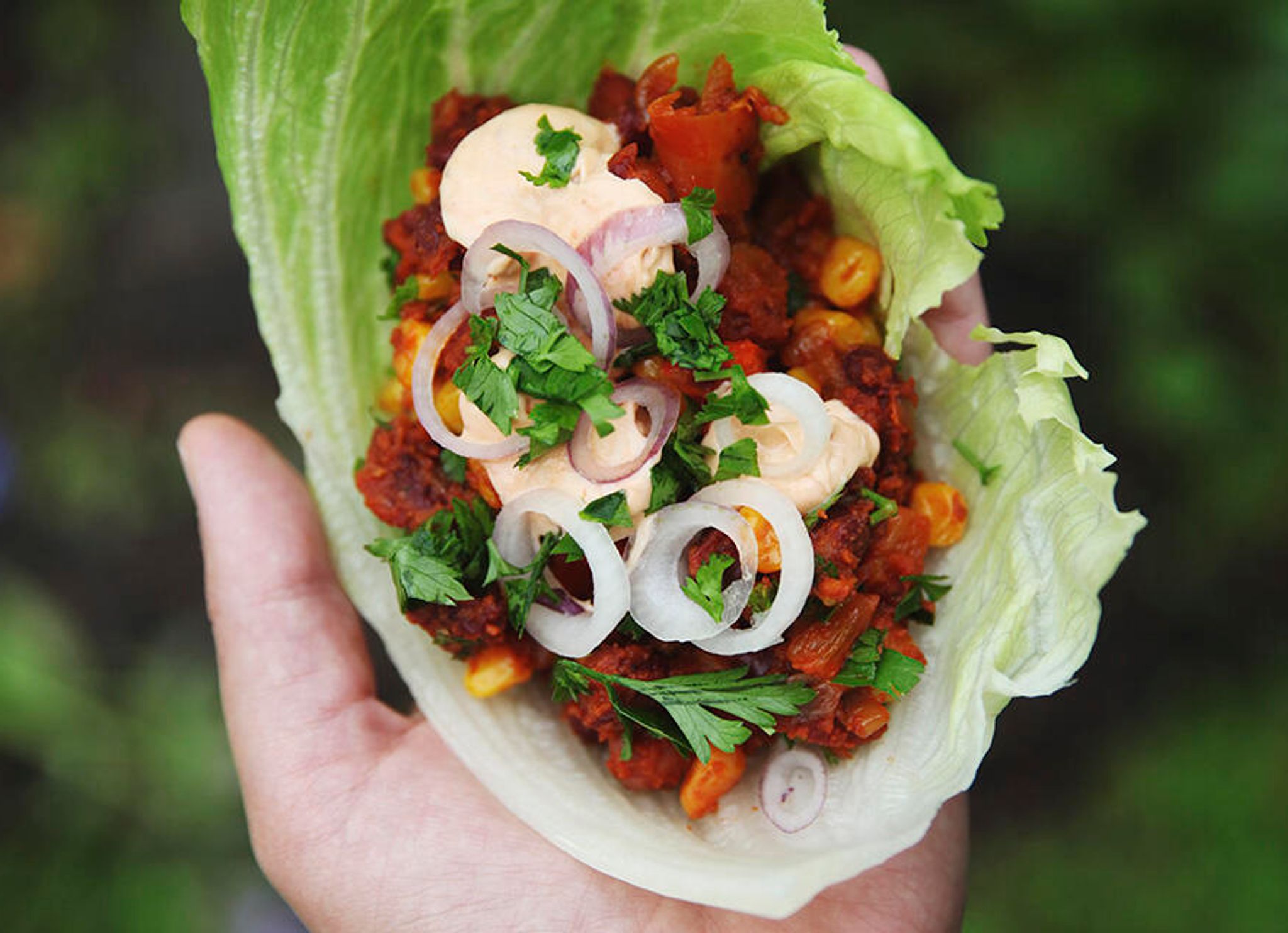 Taco i icebergskaller
