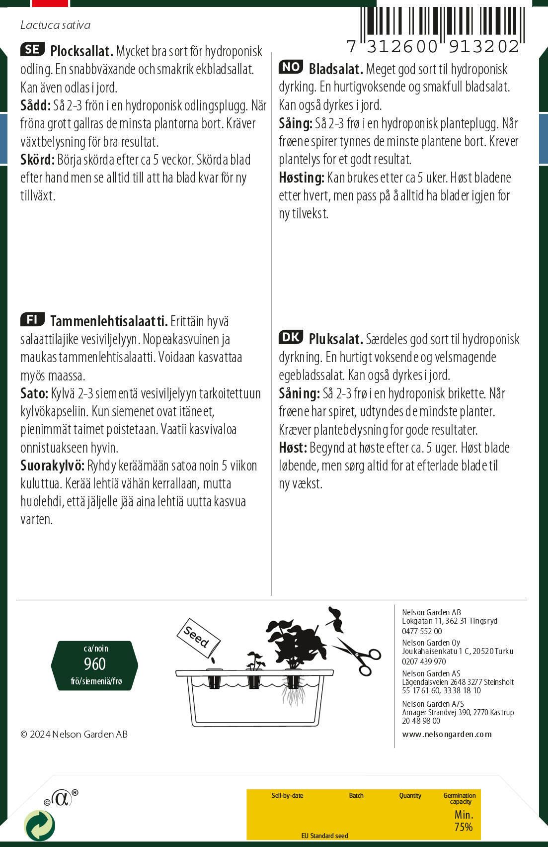 Tammenlehtisalaatti 2