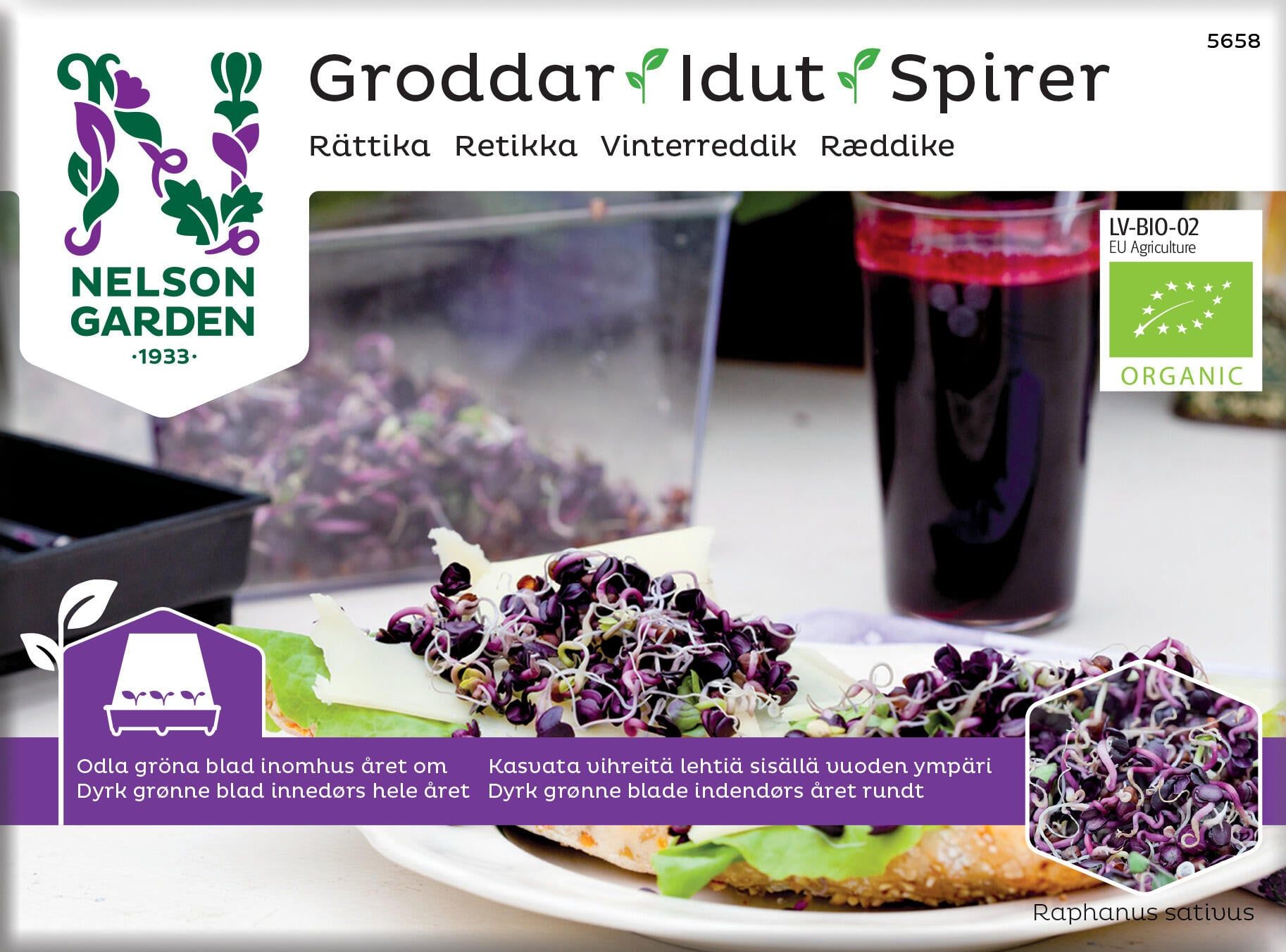 Spirer, Vinterreddik 1