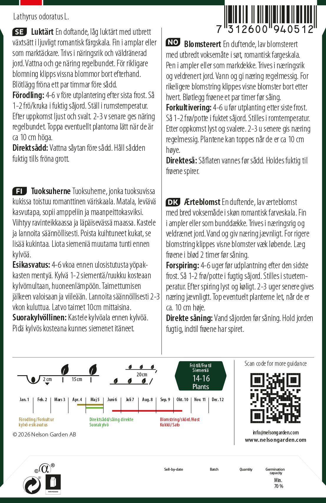Ærteblomst 2