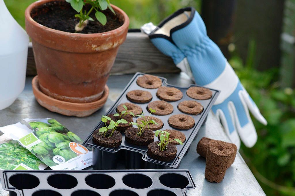 Så i minipluggbrett