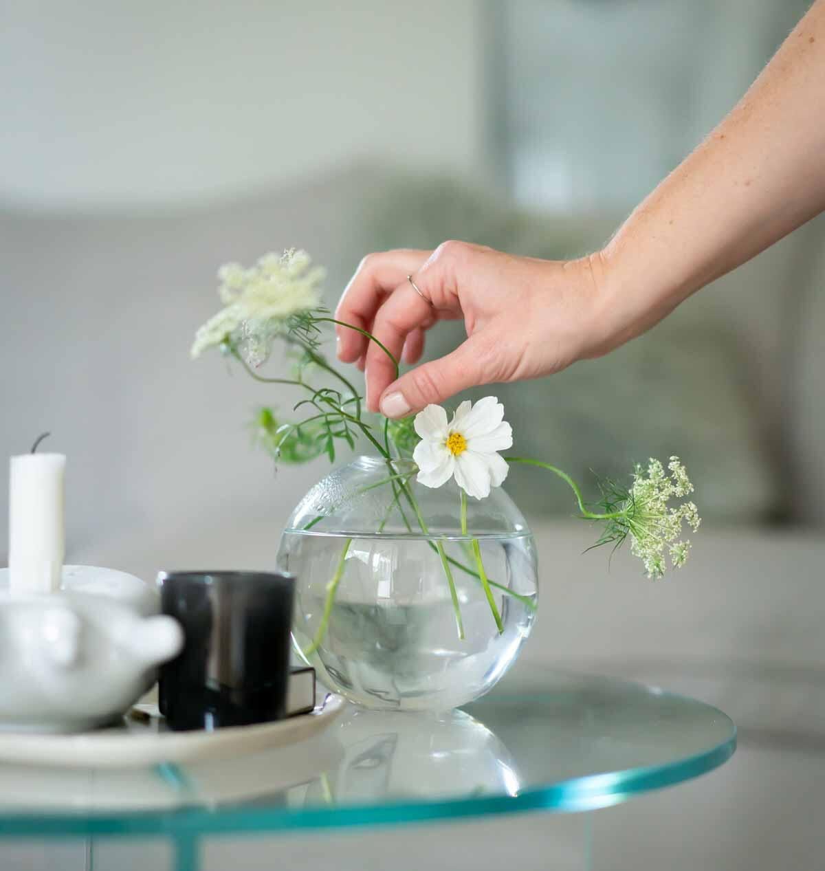 Oppdag vårt blomstersortiment