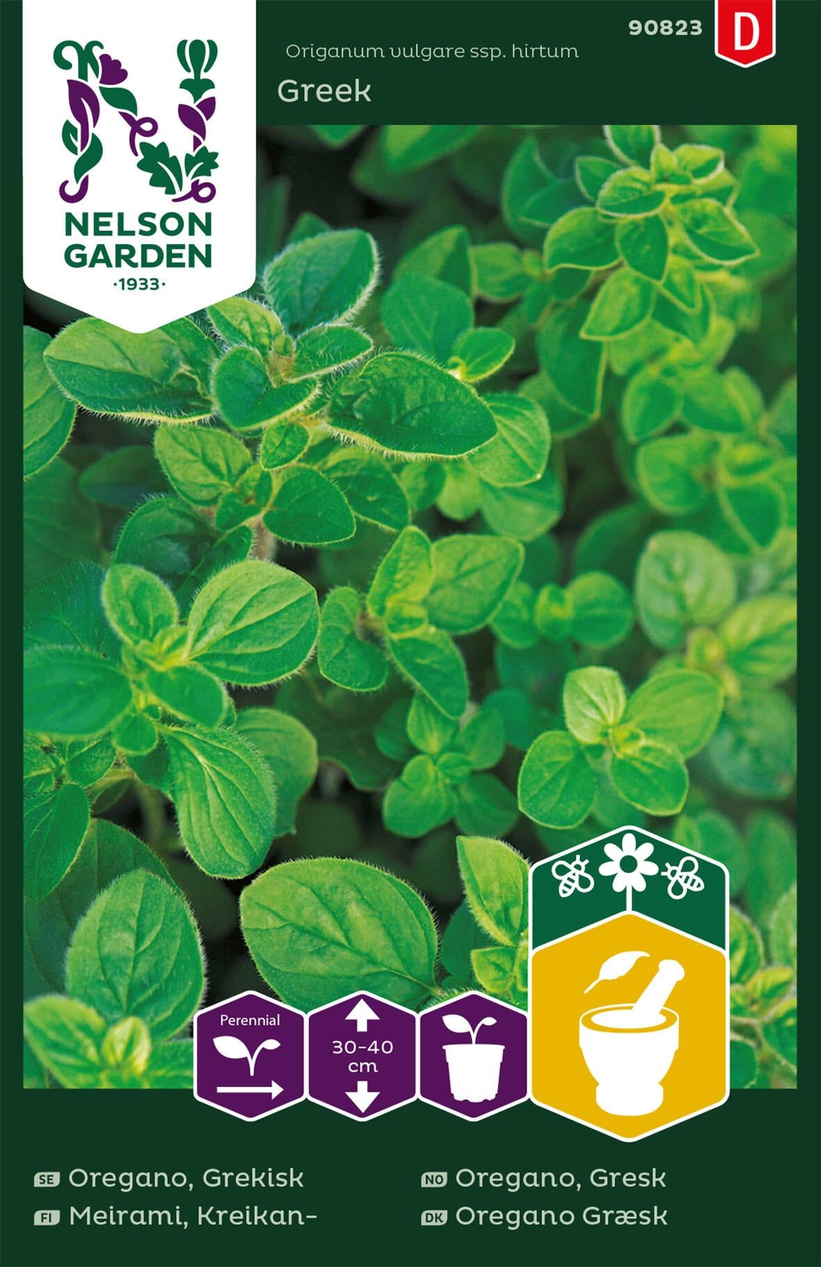 Gresk oregano 1