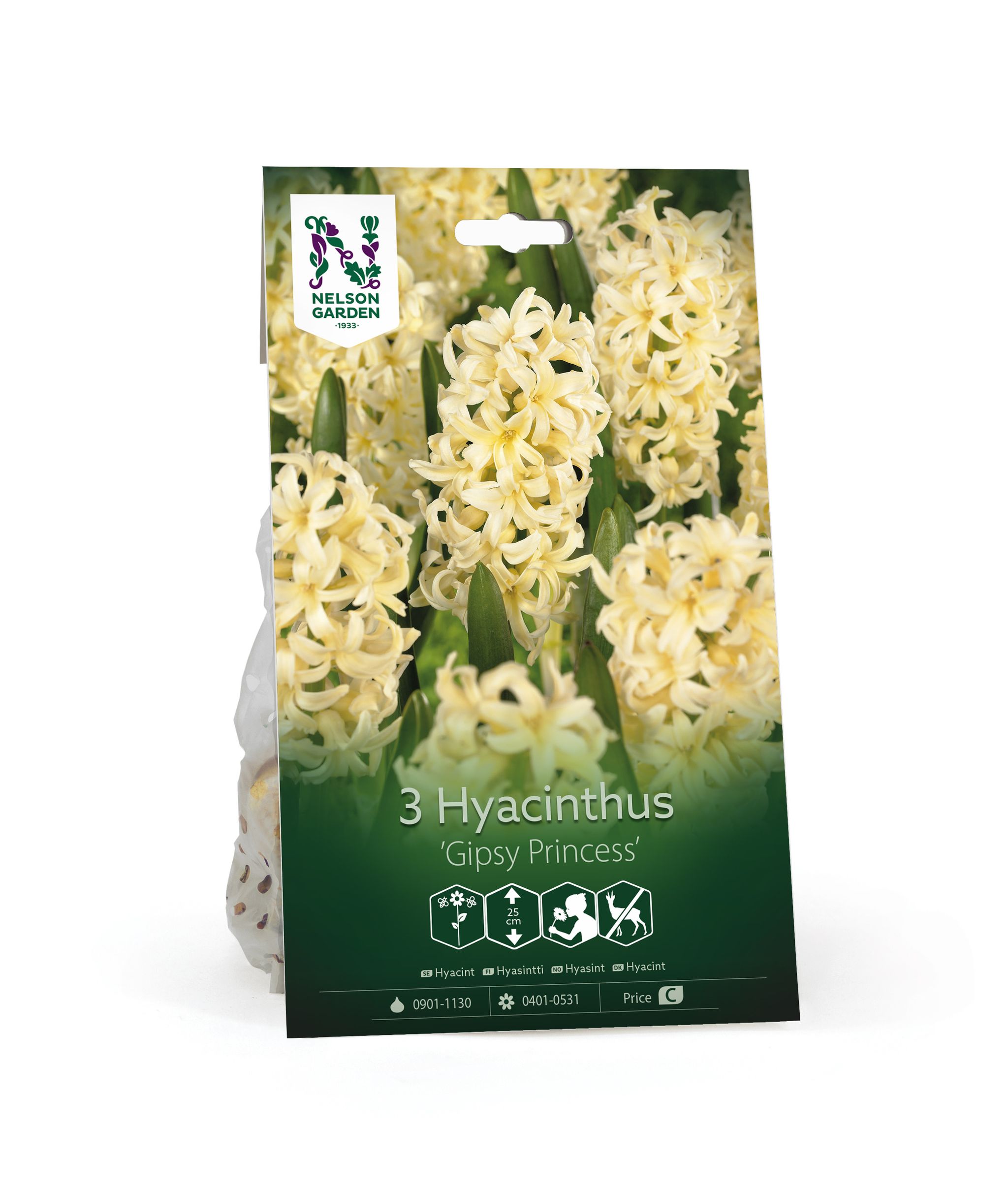 Hyasintti