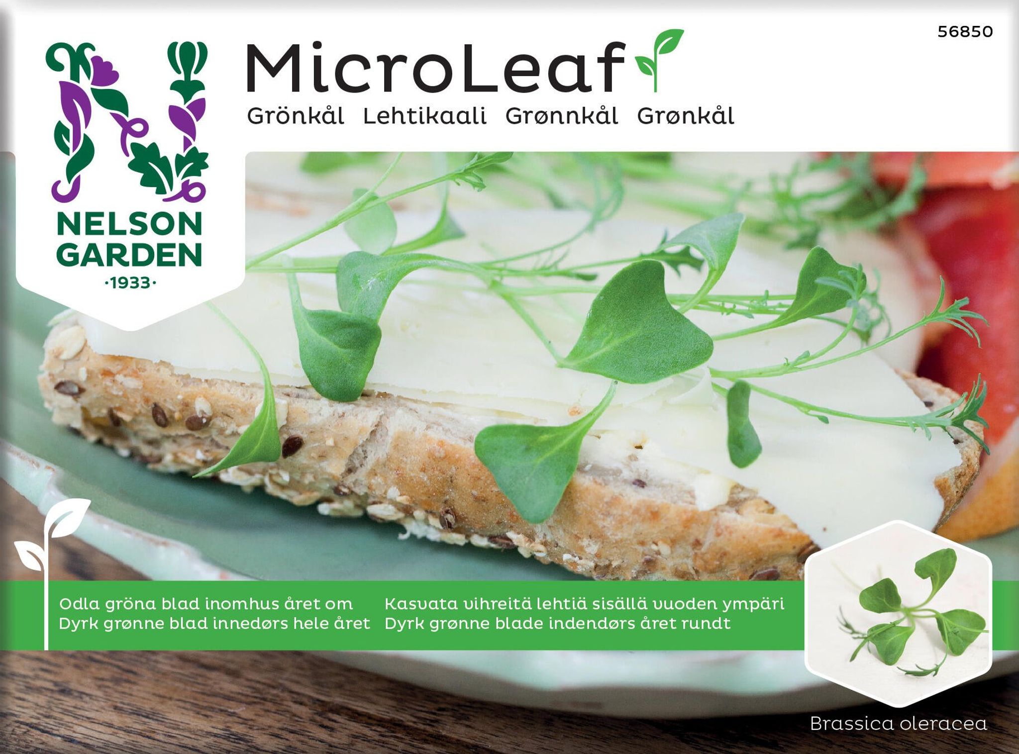 Micro Leaf, grønkål