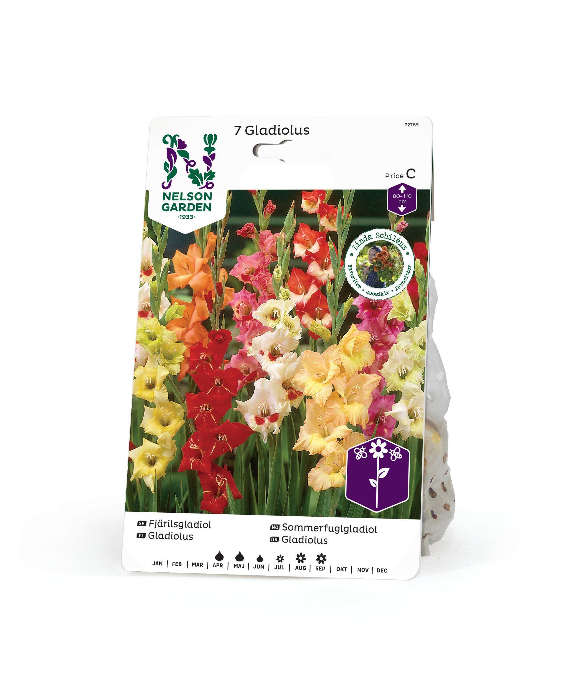 Sommerfuglgladiol