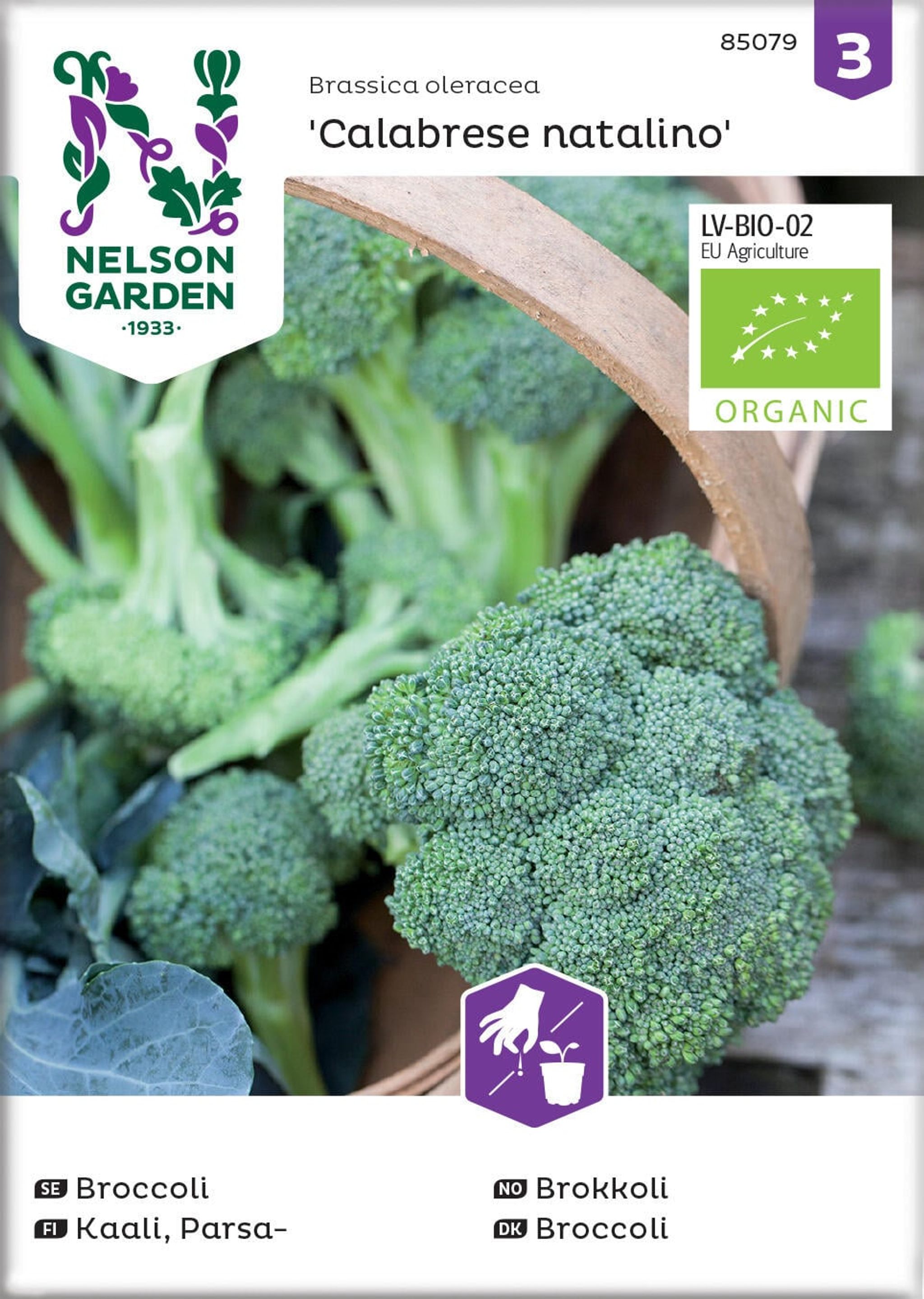 Broccoli