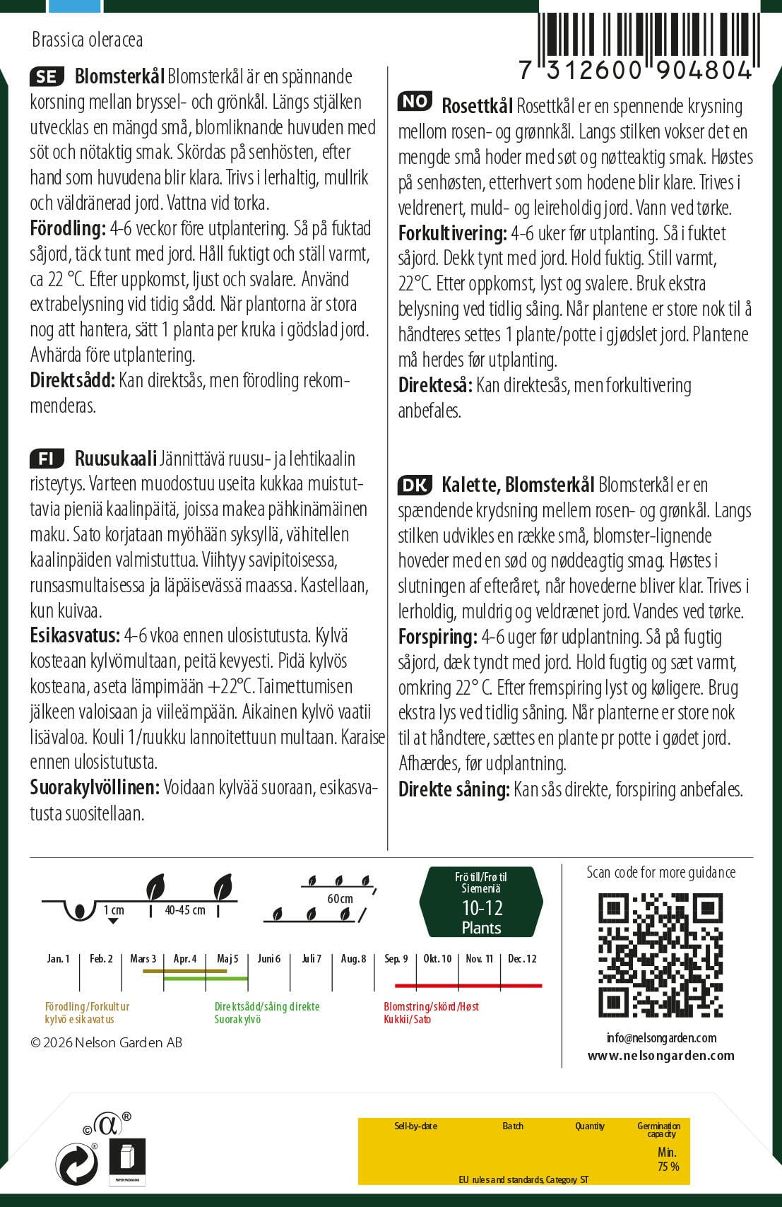 Rosettkål 2