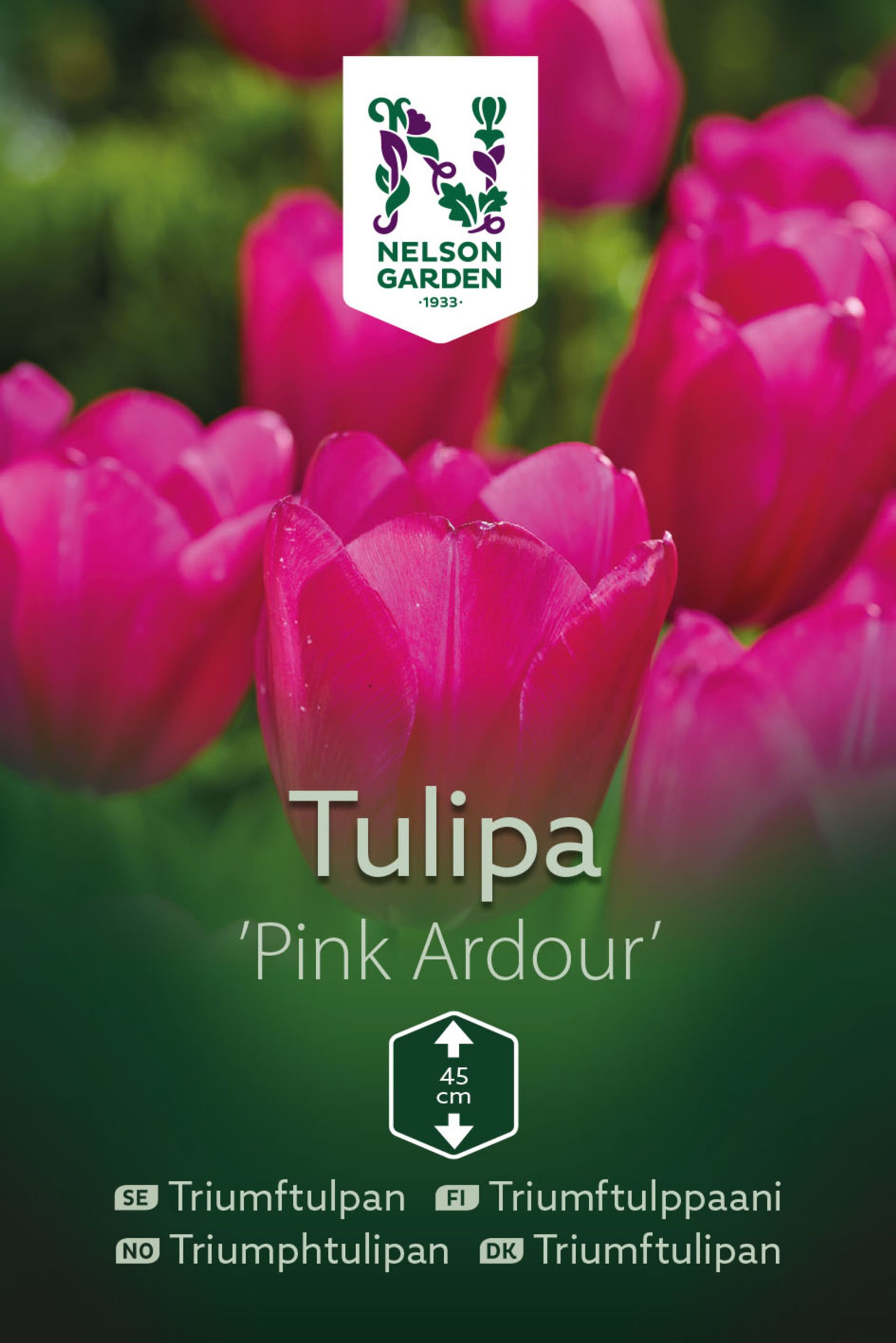 Triumftulppaani