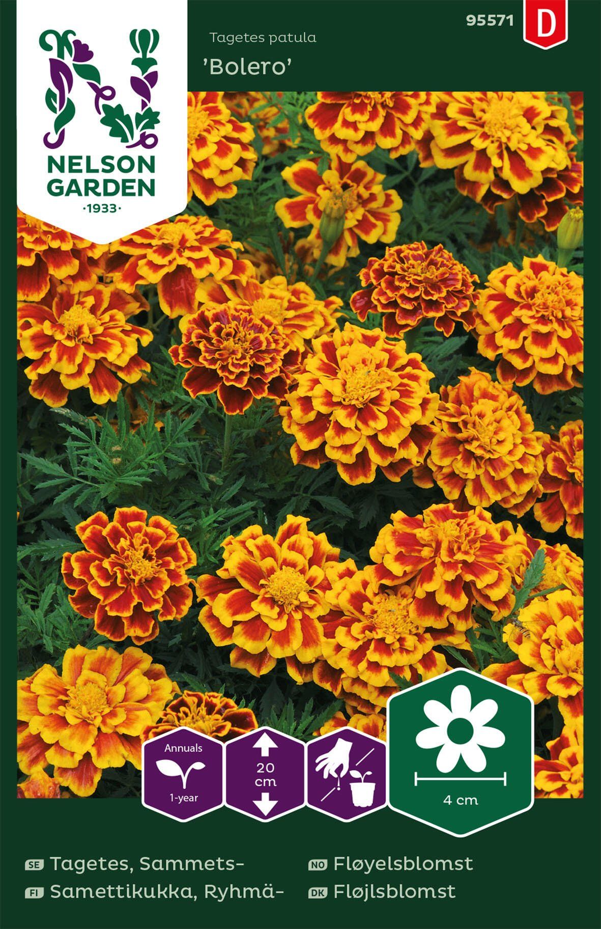 Fløyelsblomst 1