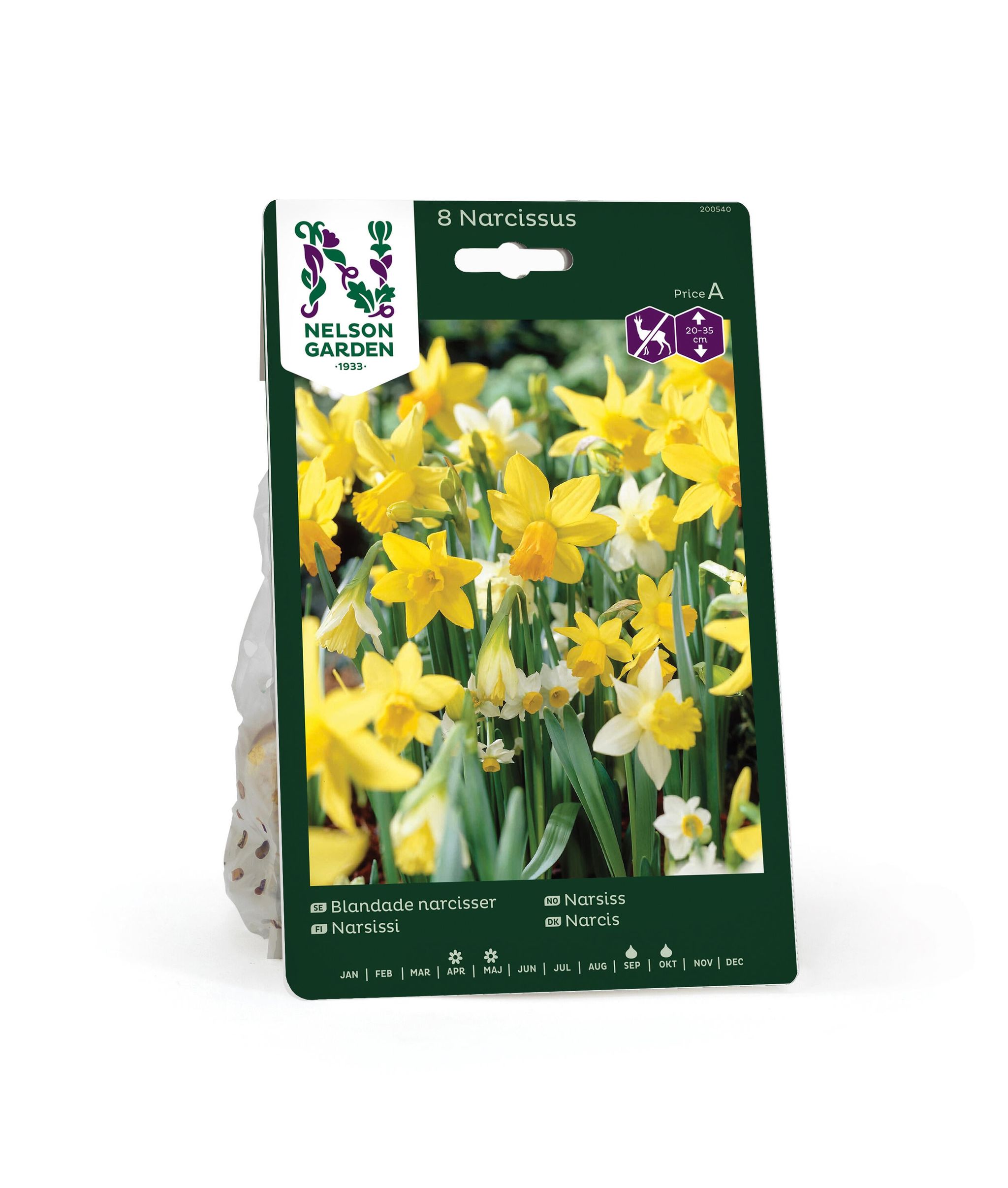 Narcisser, blandade