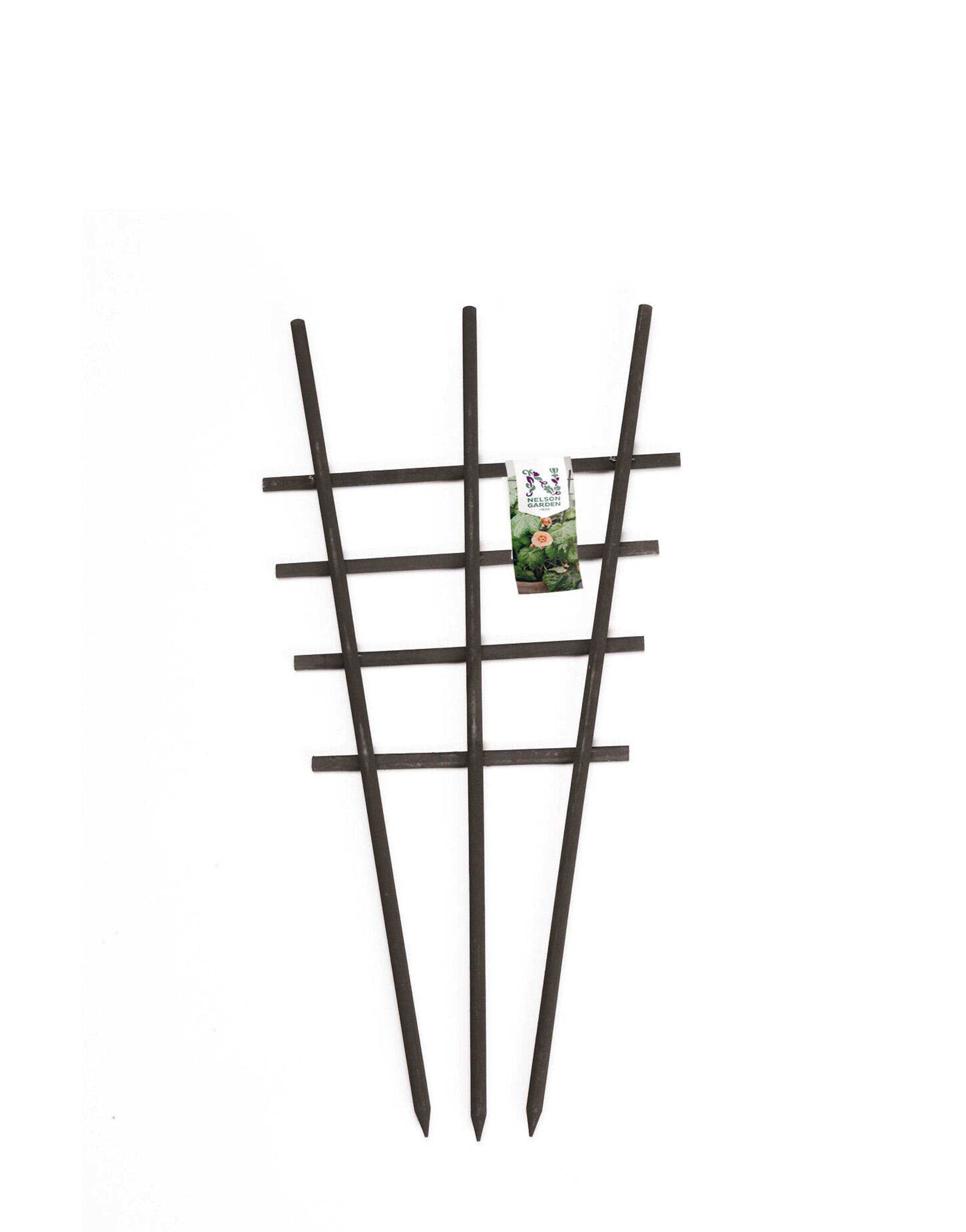 Krukkeespalier, træ