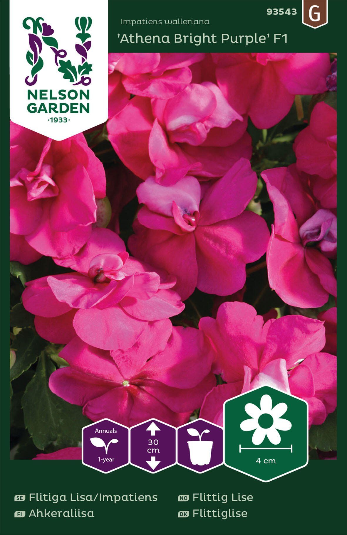 Flitiga Lisa/Impatiens 3