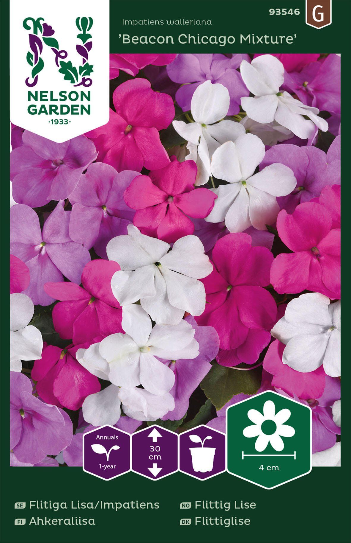 Flitiga Lisa/Impatiens 4
