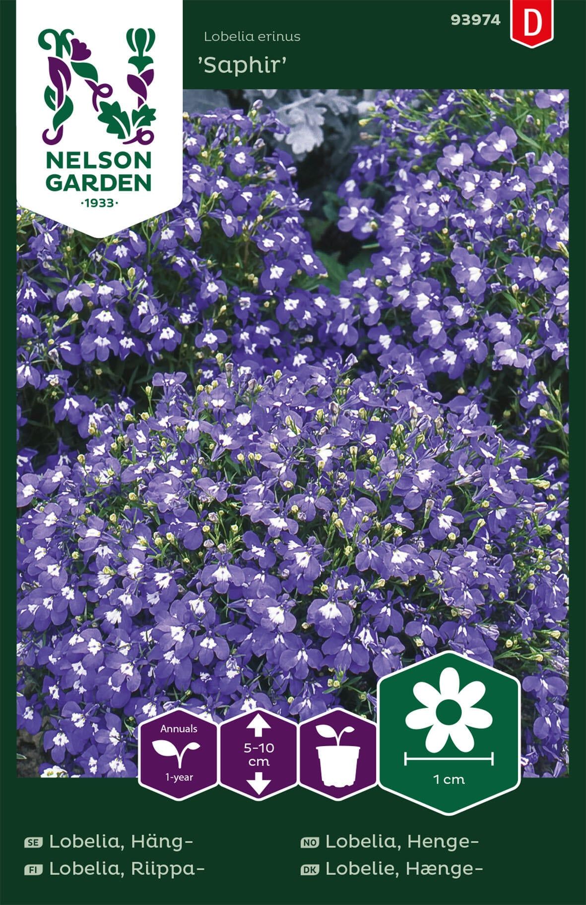 Hänglobelia 1