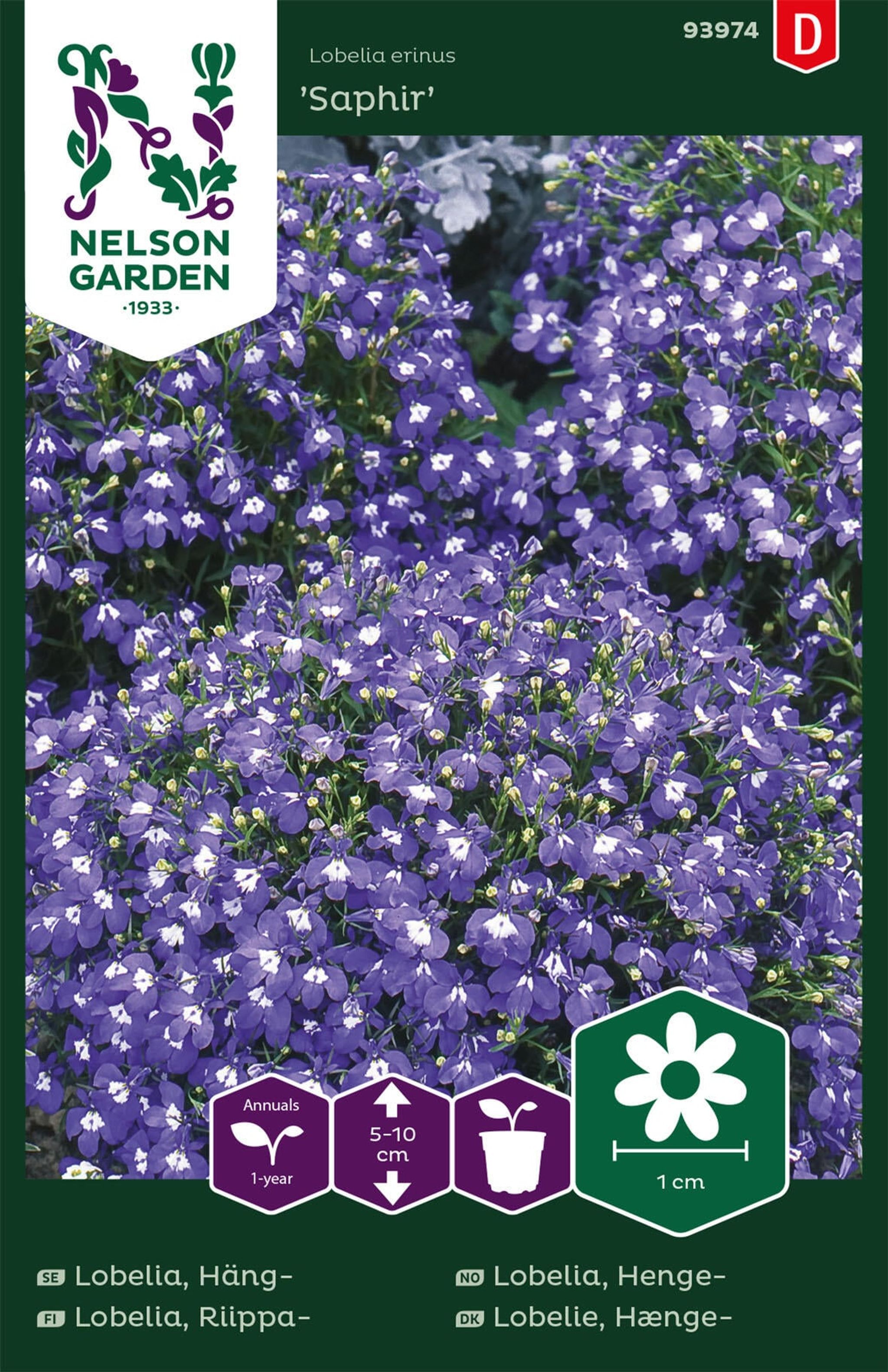 Hänglobelia