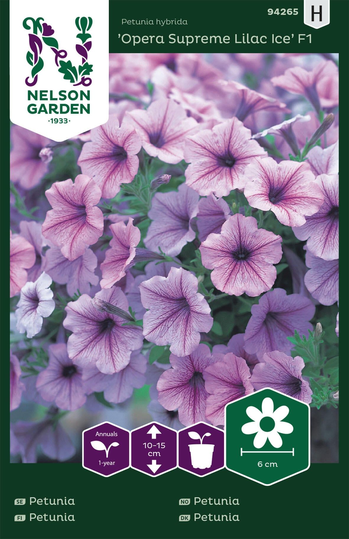 Petunia 3