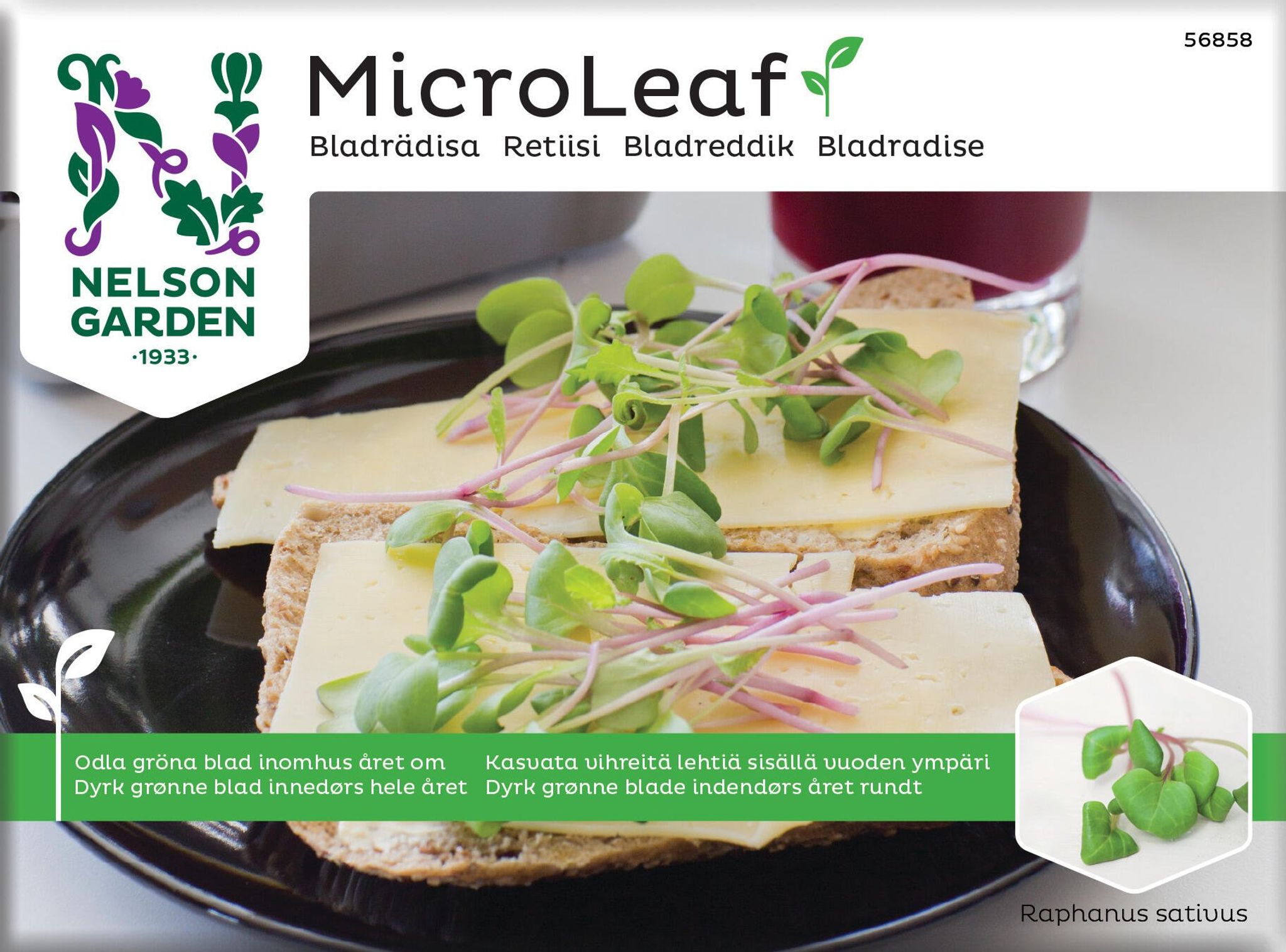 Micro Leaf, radise