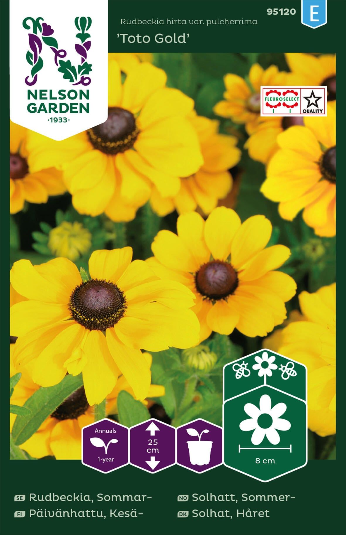 Sommarrudbeckia 1