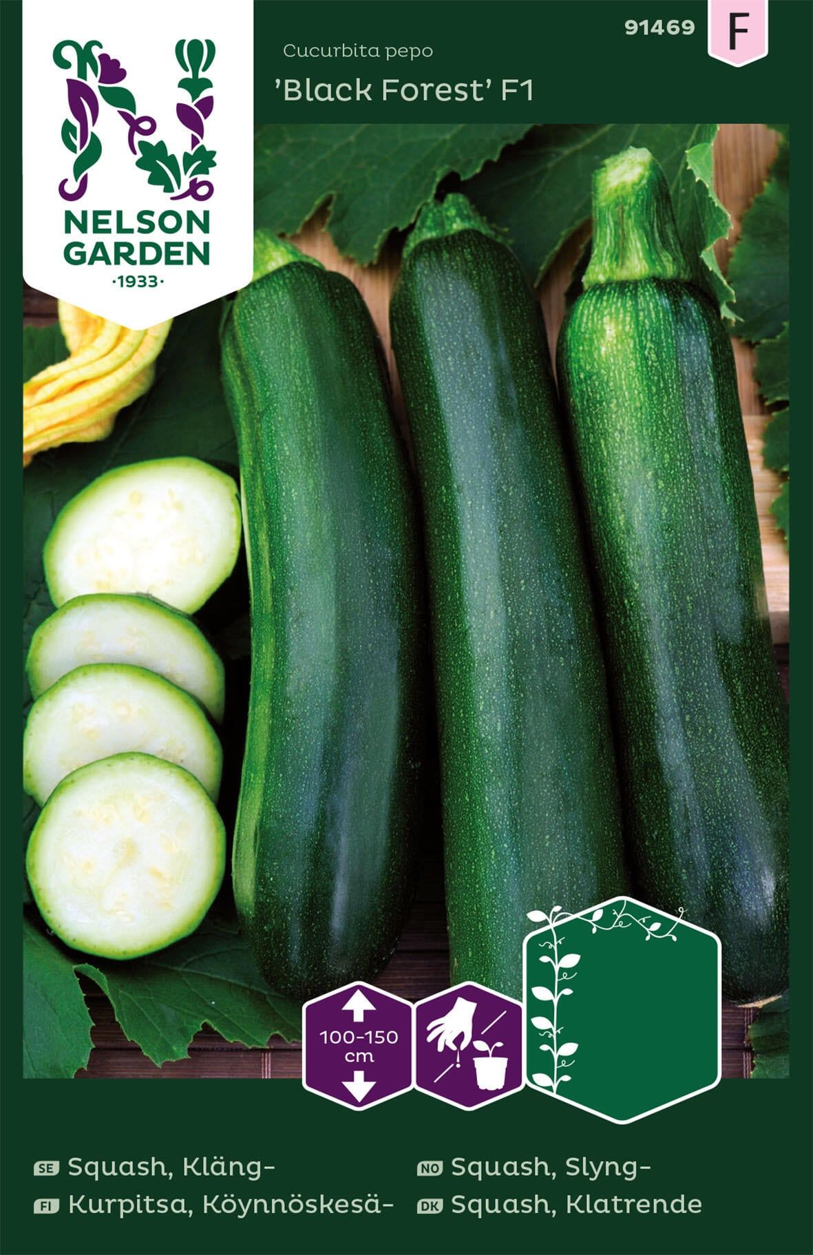 Slyngsquash 1