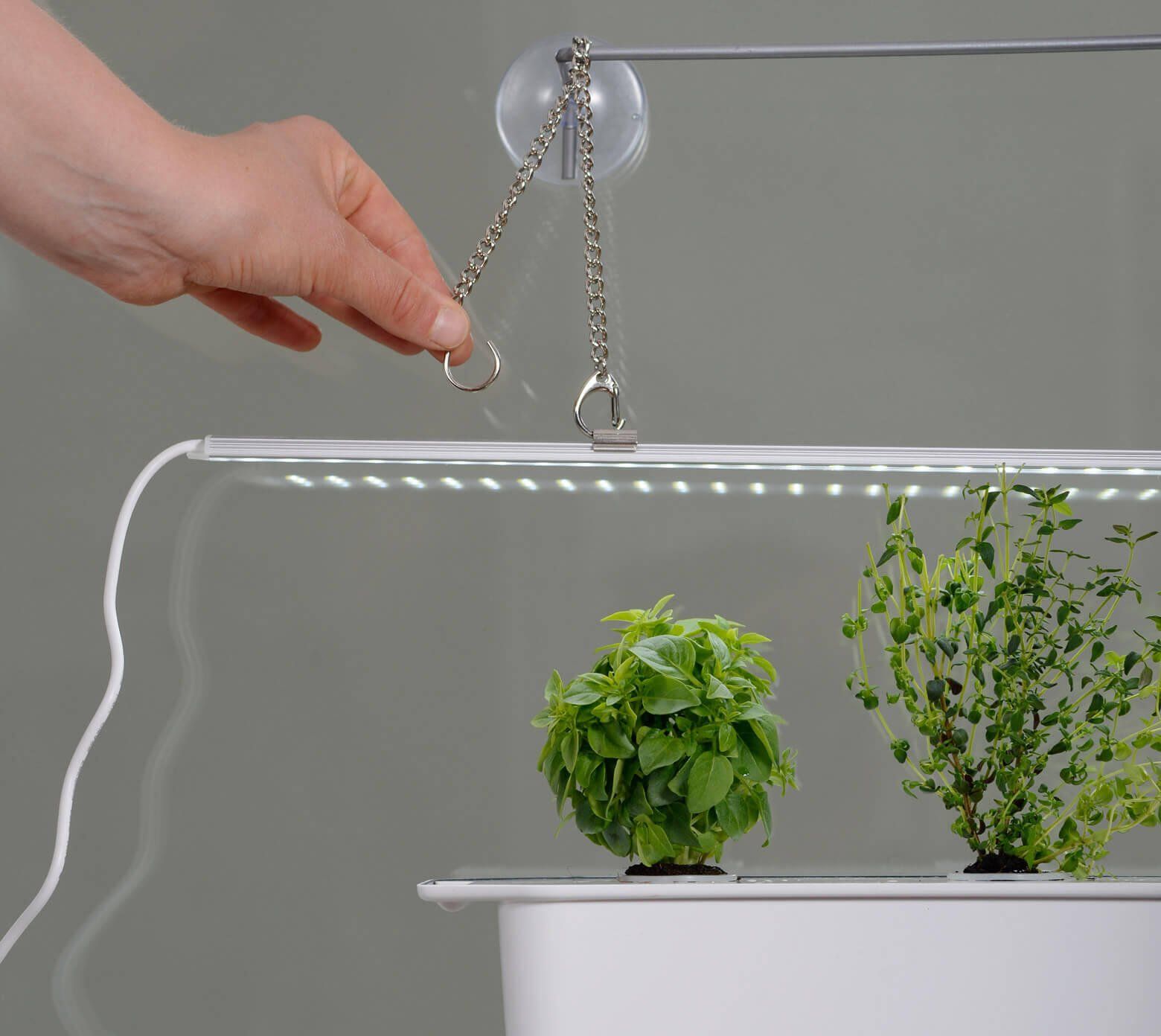 Vekstlys