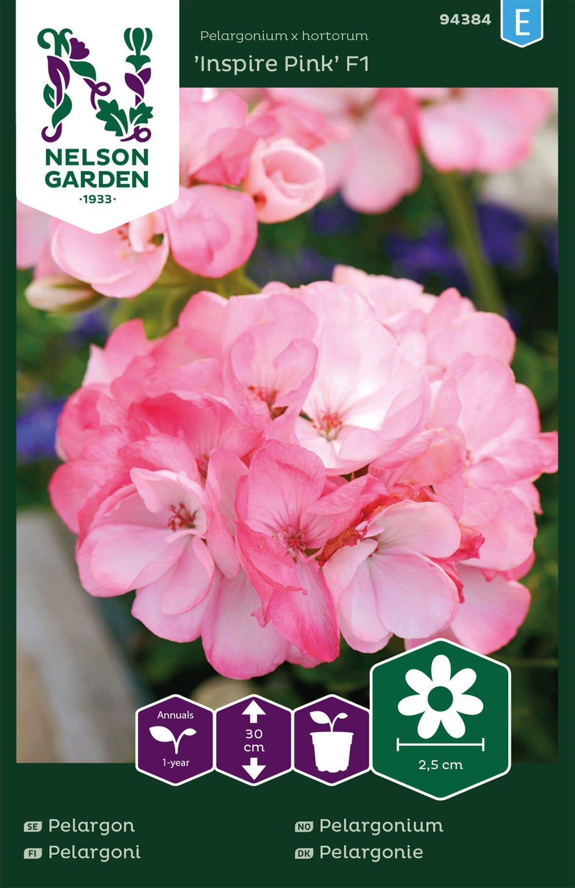 Pelargoni 1
