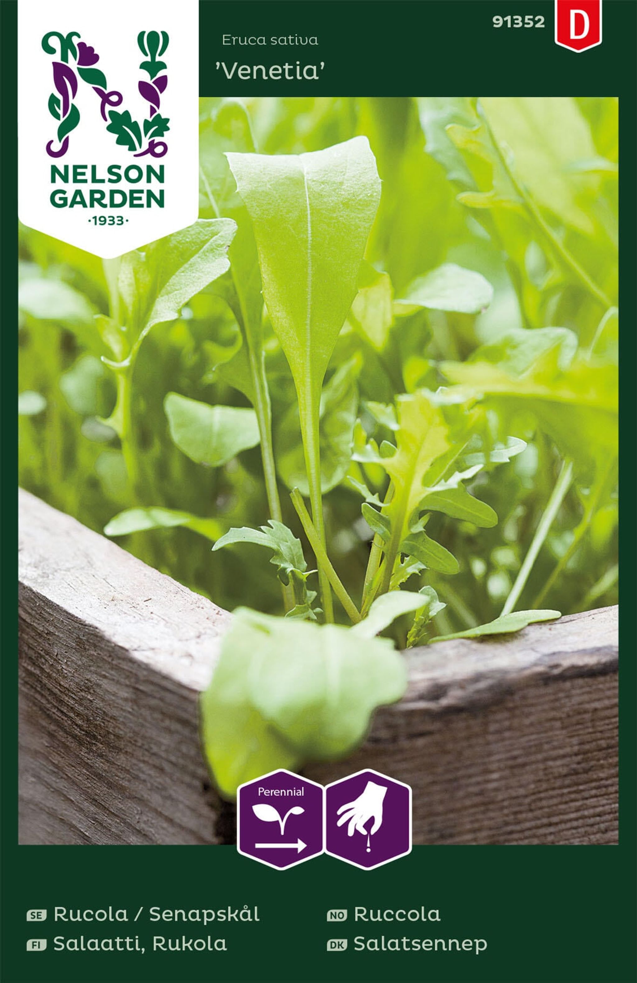 Ruccola