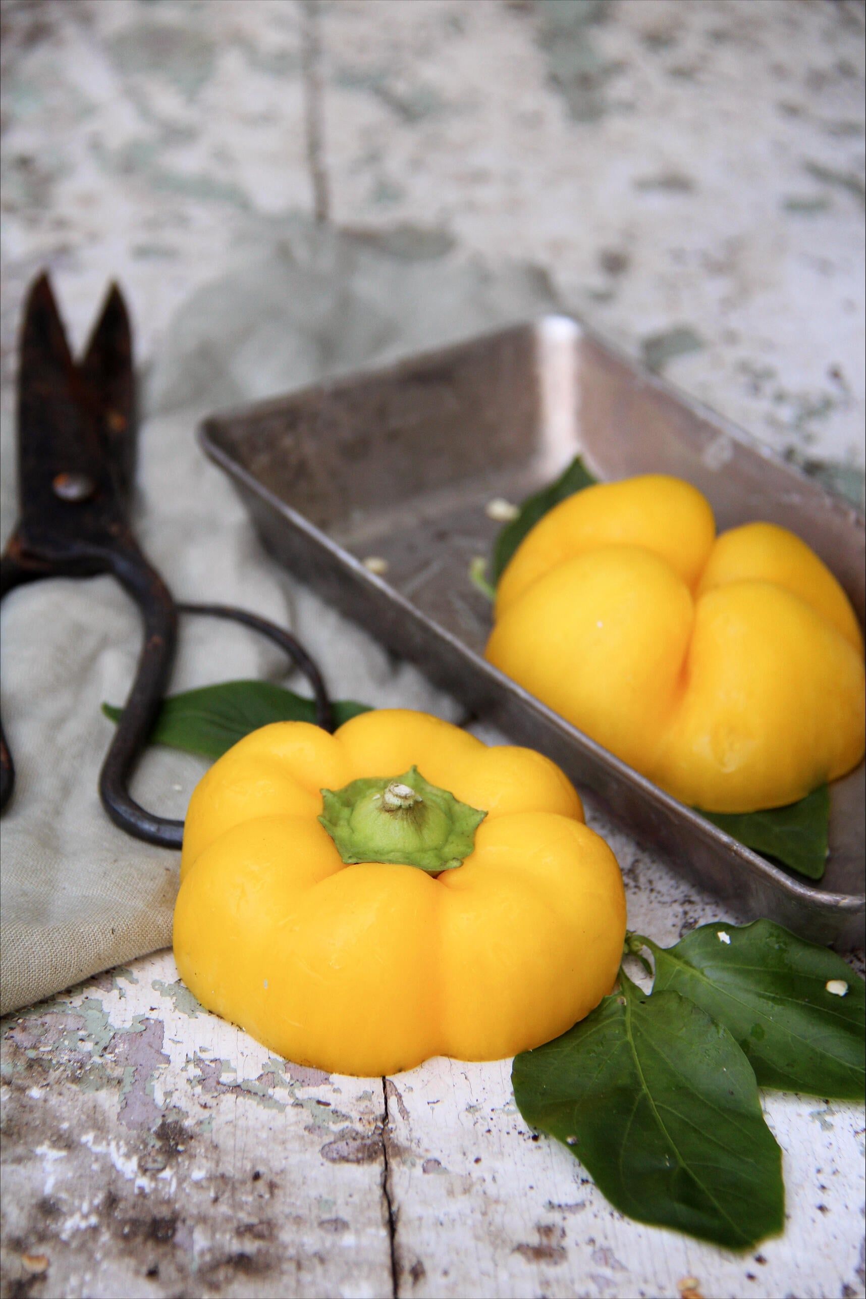 Paprika 2