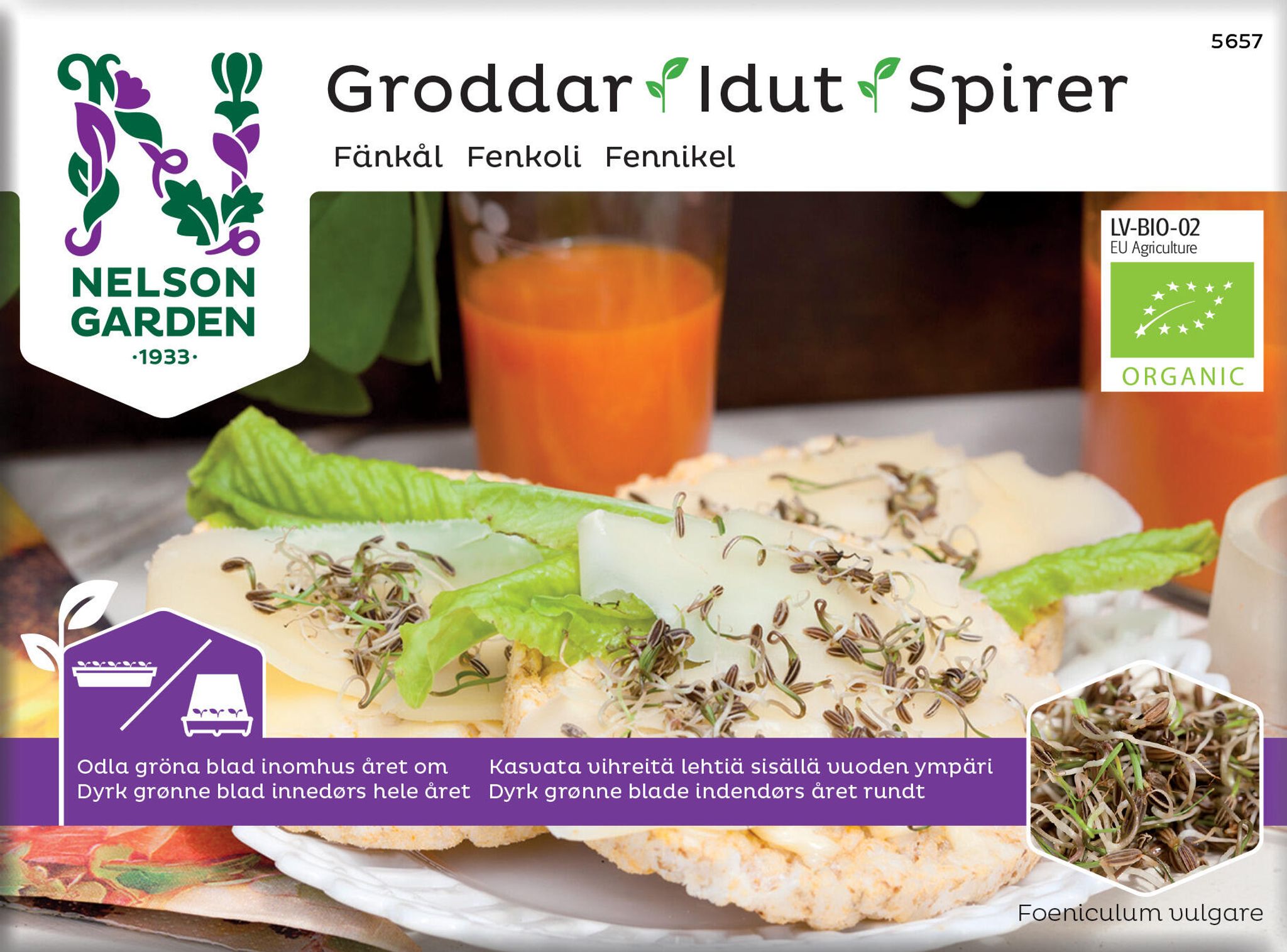 Spirer, fennikel