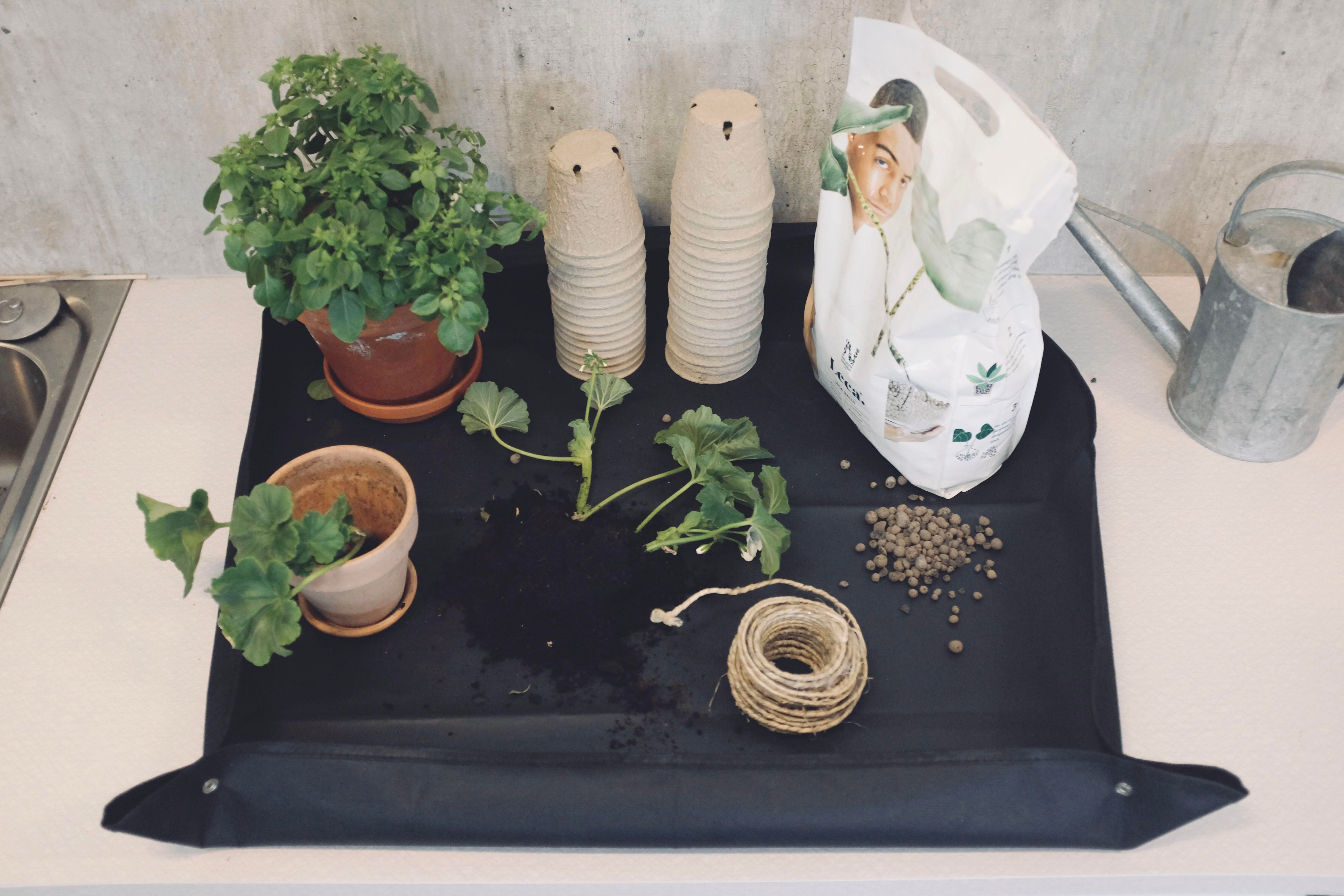 Plantematte 3
